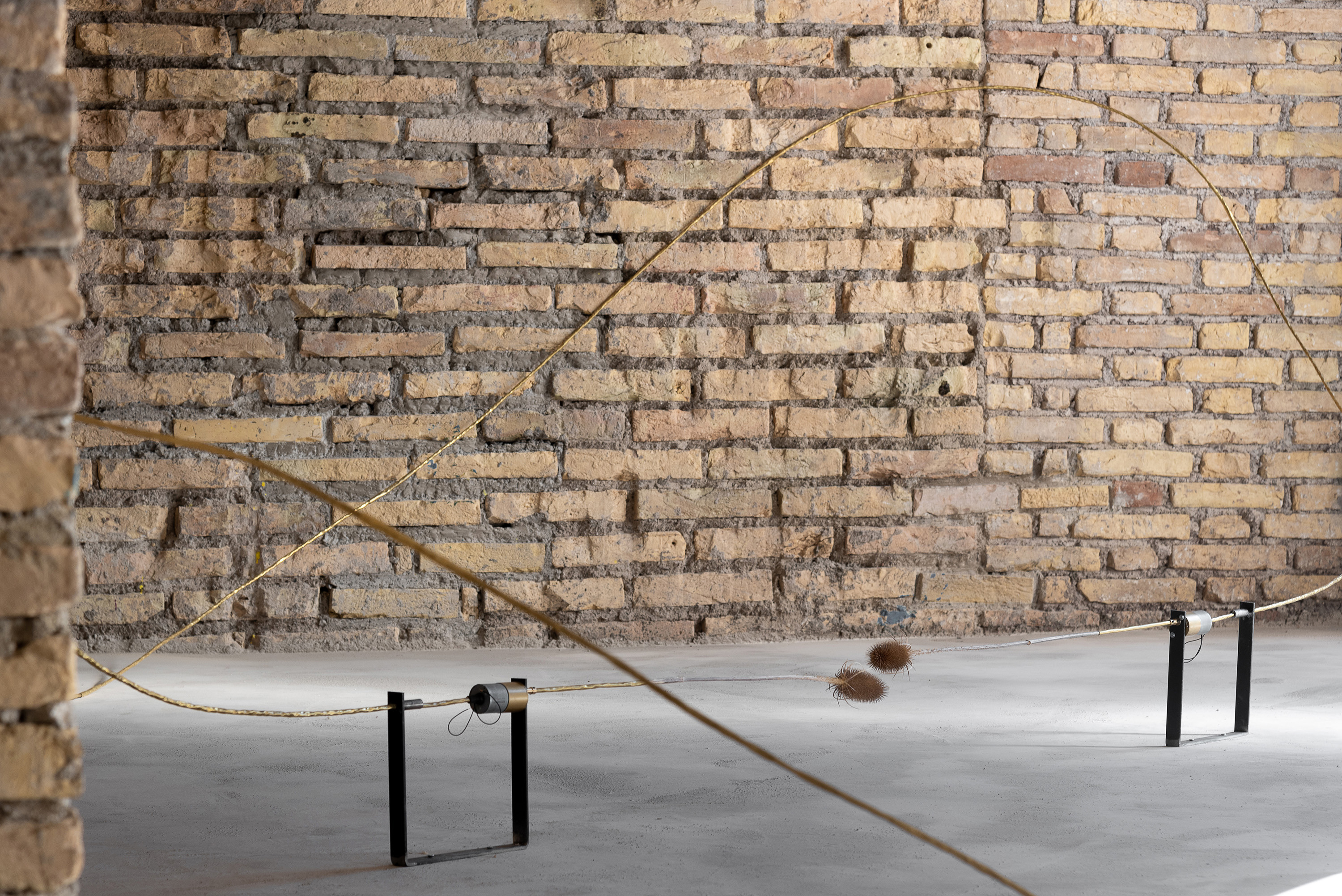 A measure of distance, Daniele Di Girolamo, Supernova 2024