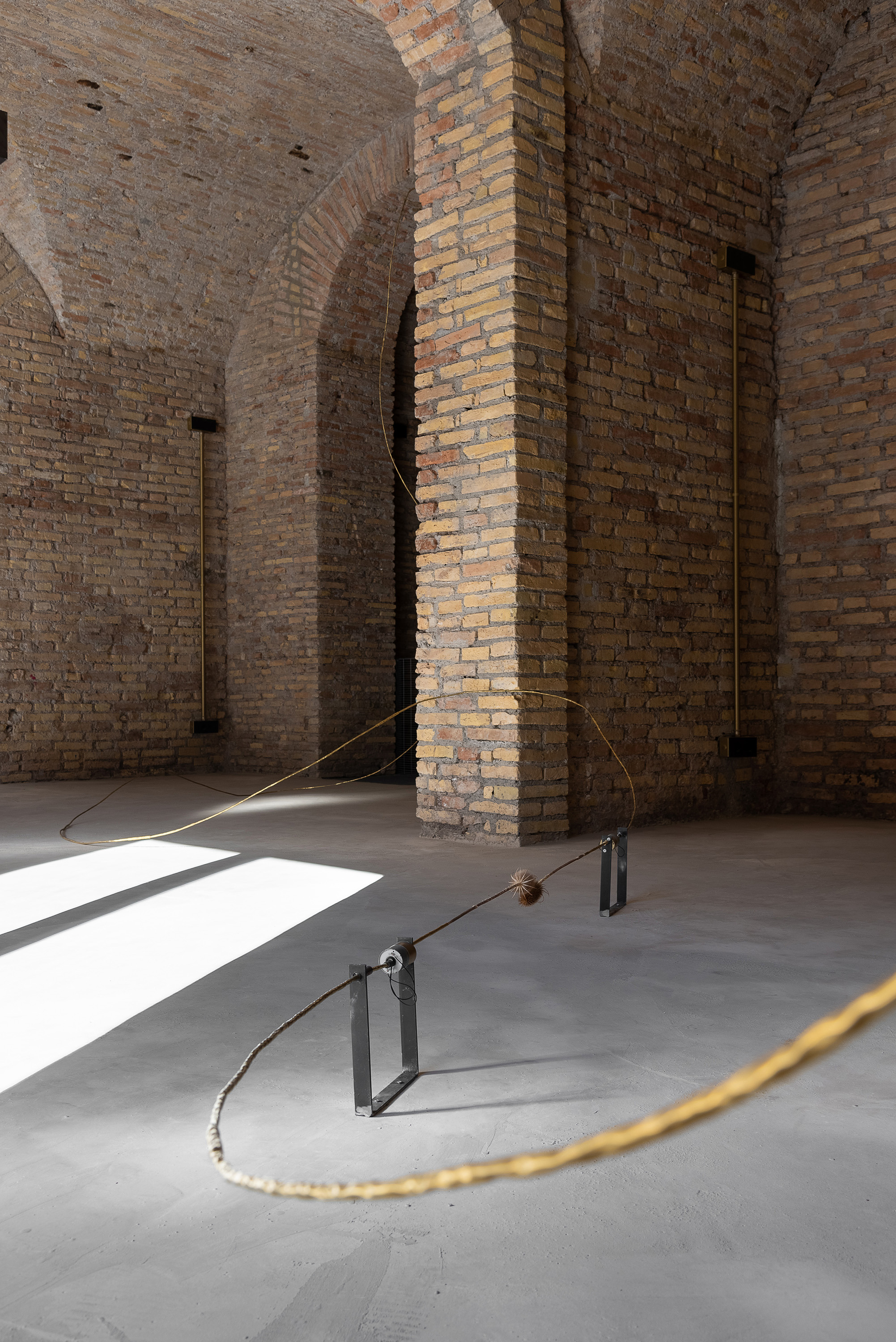 A measure of distance, Daniele Di Girolamo, Supernova 2024