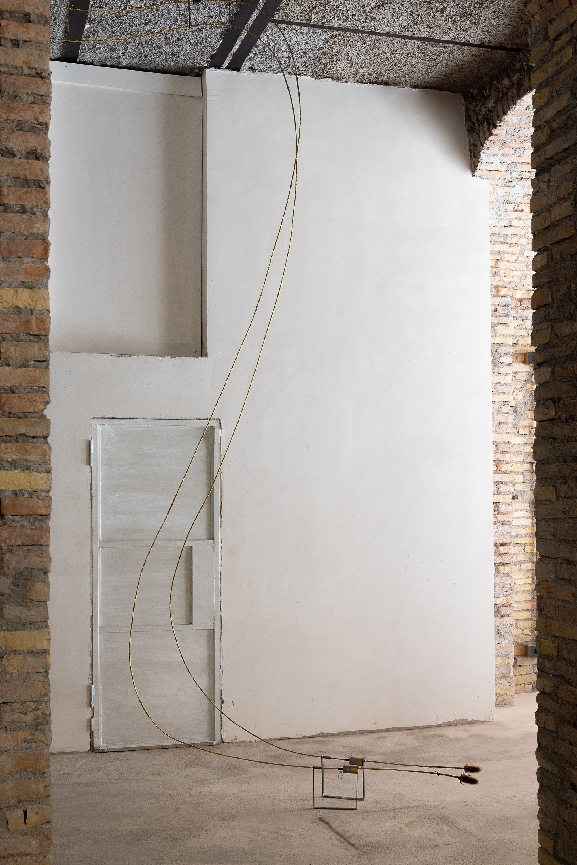 A measure of distance, Daniele Di Girolamo, Supernova 2024