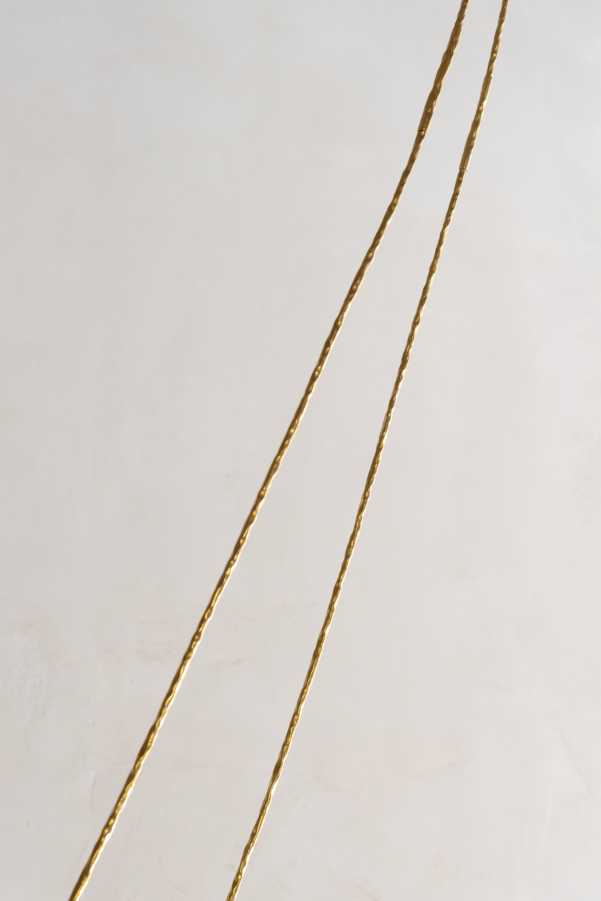 A measure of distance, Daniele Di Girolamo, Supernova 2024