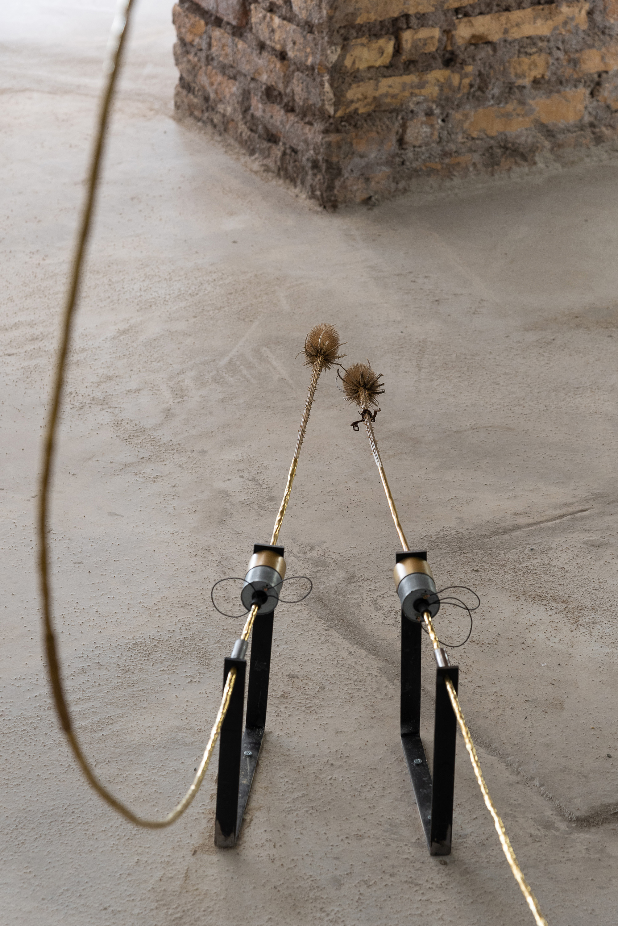 A measure of distance, Daniele Di Girolamo, Supernova 2024