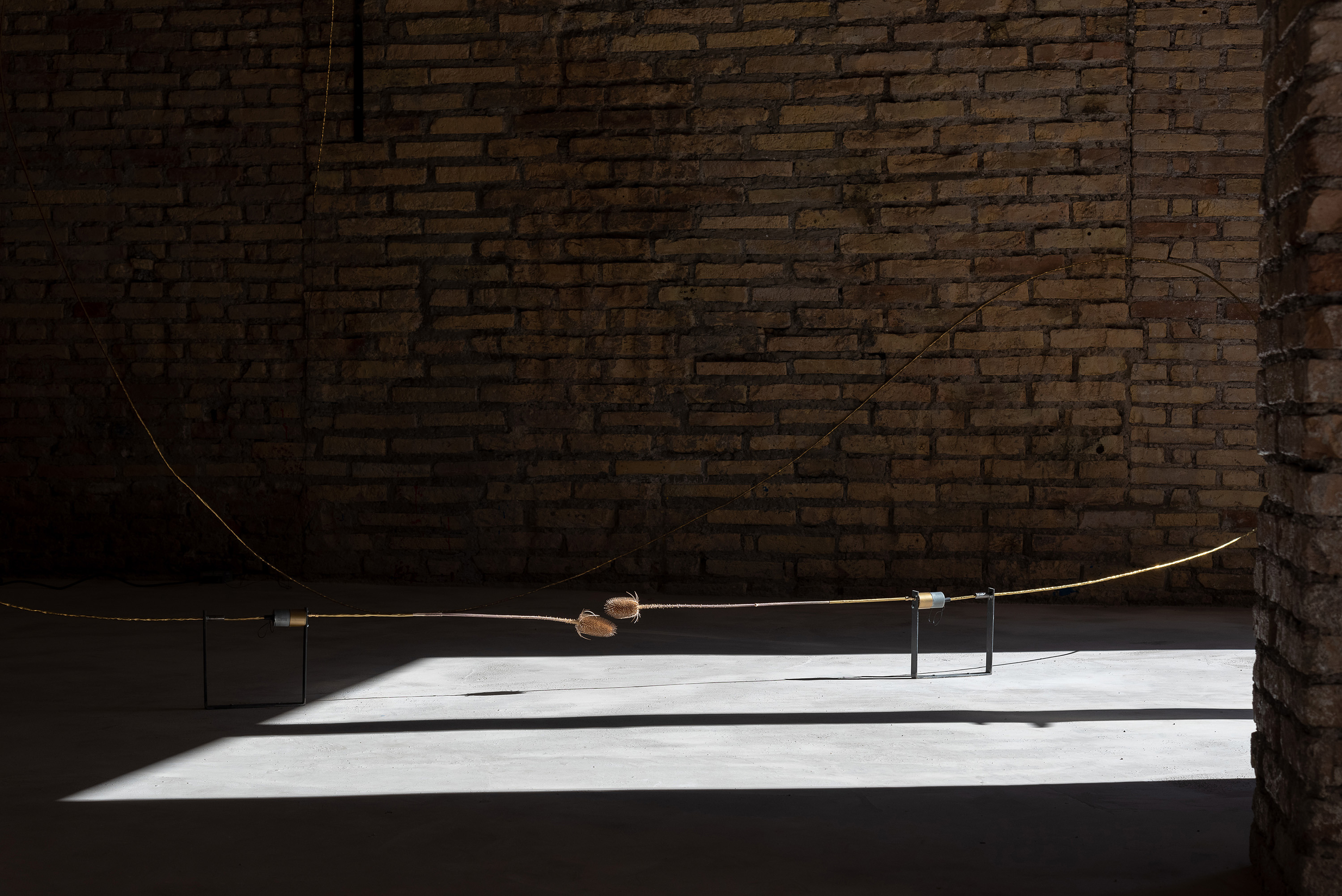 A measure of distance, Daniele Di Girolamo, Supernova 2024