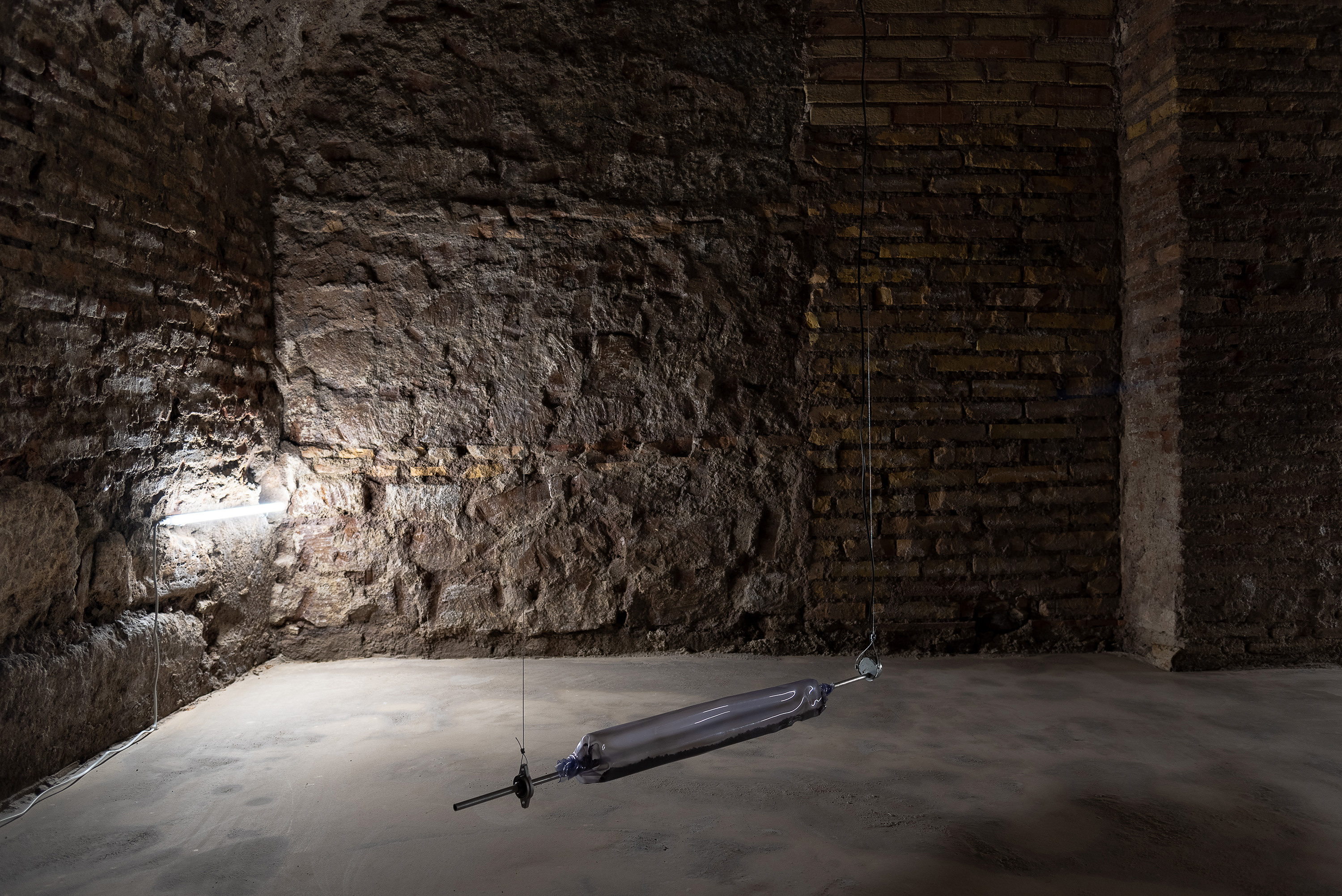 A measure of distance, Daniele Di Girolamo, Supernova 2024