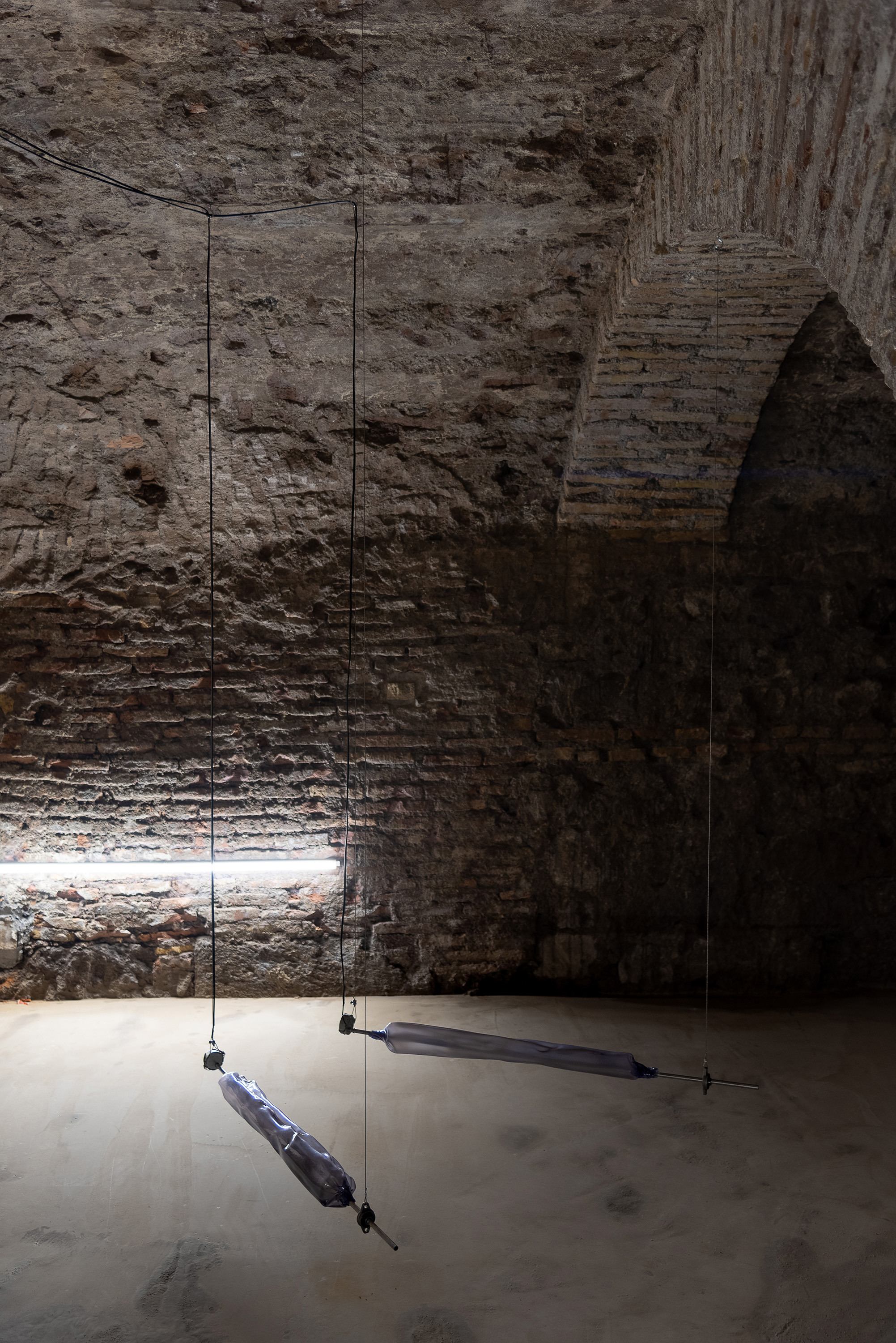 A measure of distance, Daniele Di Girolamo, Supernova 2024