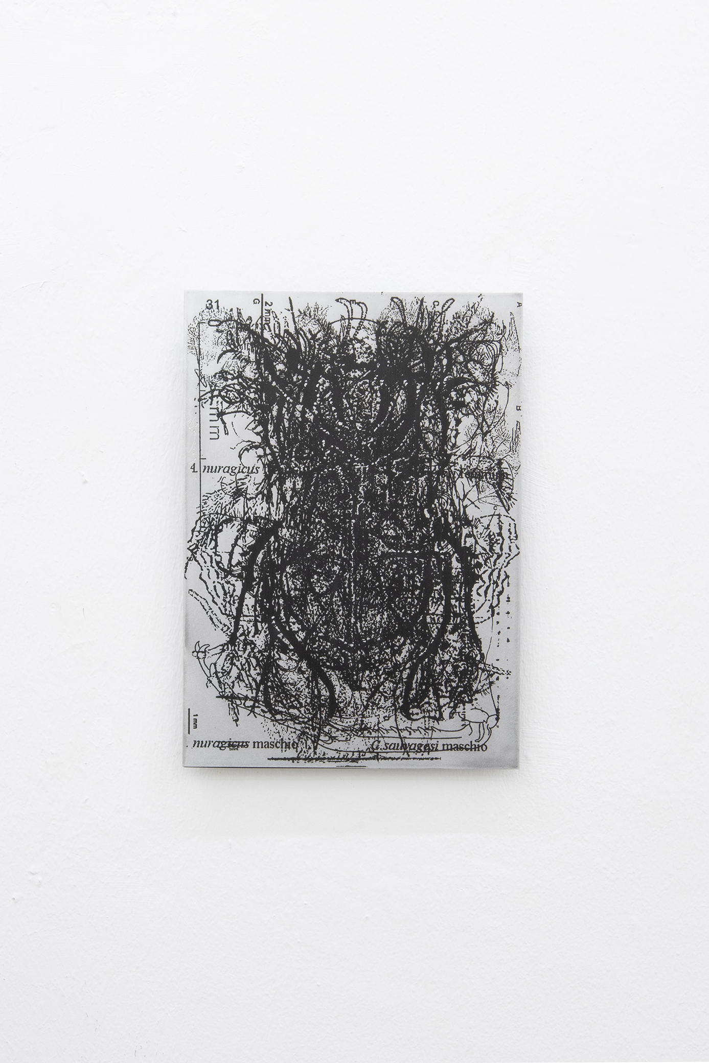 Giuseppe Salis, 0140114123952, uv print on aluminium, 20 x 30 cm, 2023