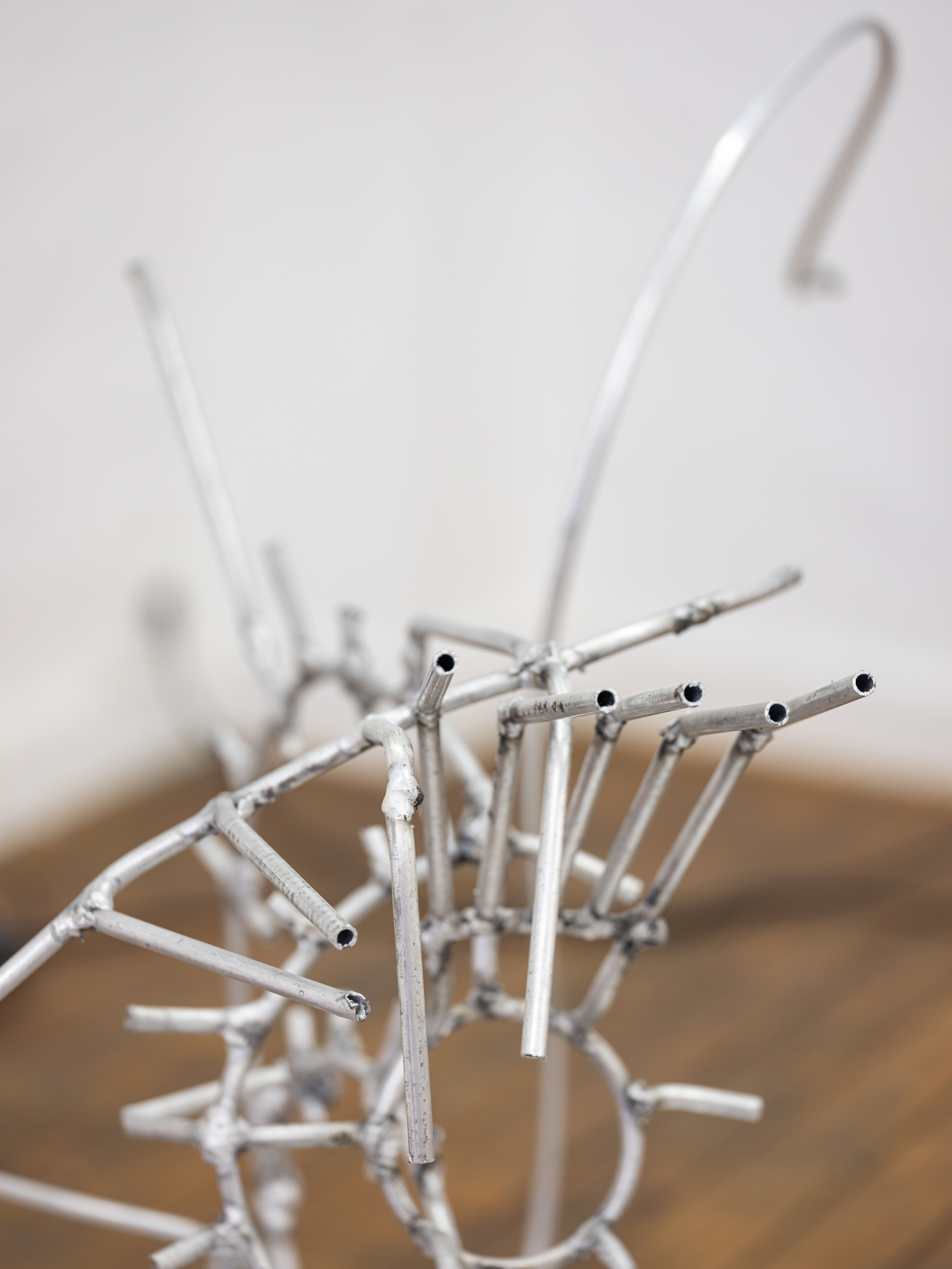 Karoline Schultz, The Collapsible House, 2024, Installation view (detail) | © the artist | photo: Haedeun Kim