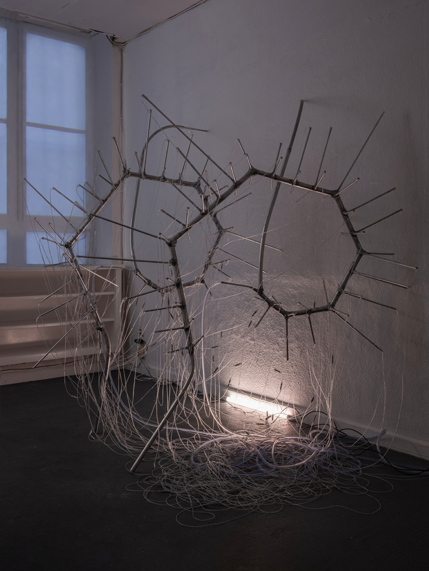Karoline Schultz, tangled hydration, 2024 | © the artist | photo: Haedeun Kim