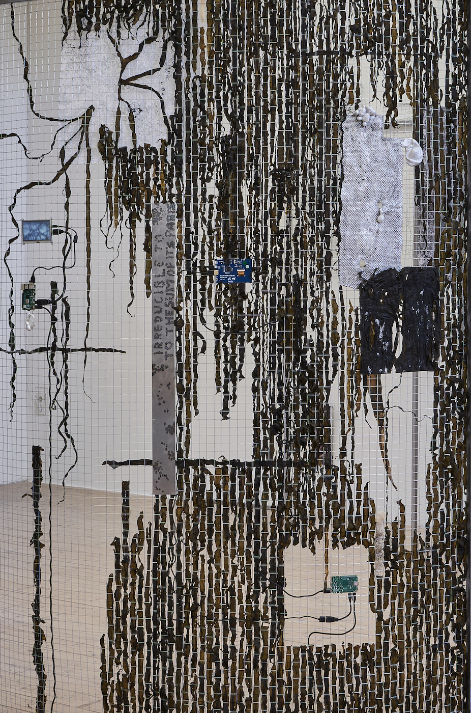 Maxine Weiss, The form can no longer be maintained (2024)