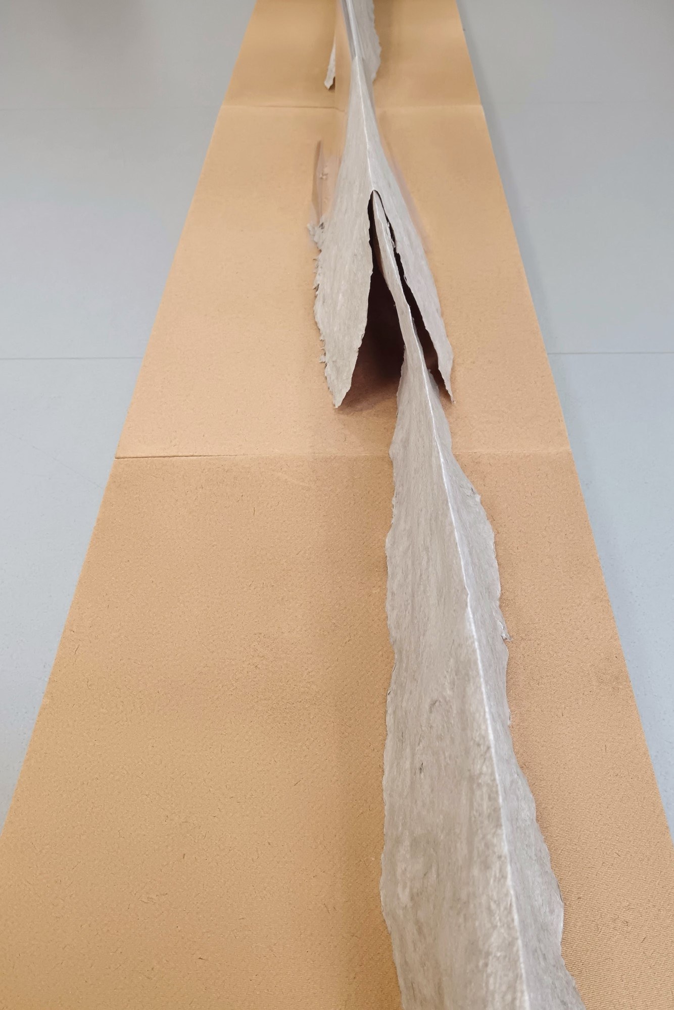 Päivikki Alaräihä, Since Then, detail, 2024 | © the artist