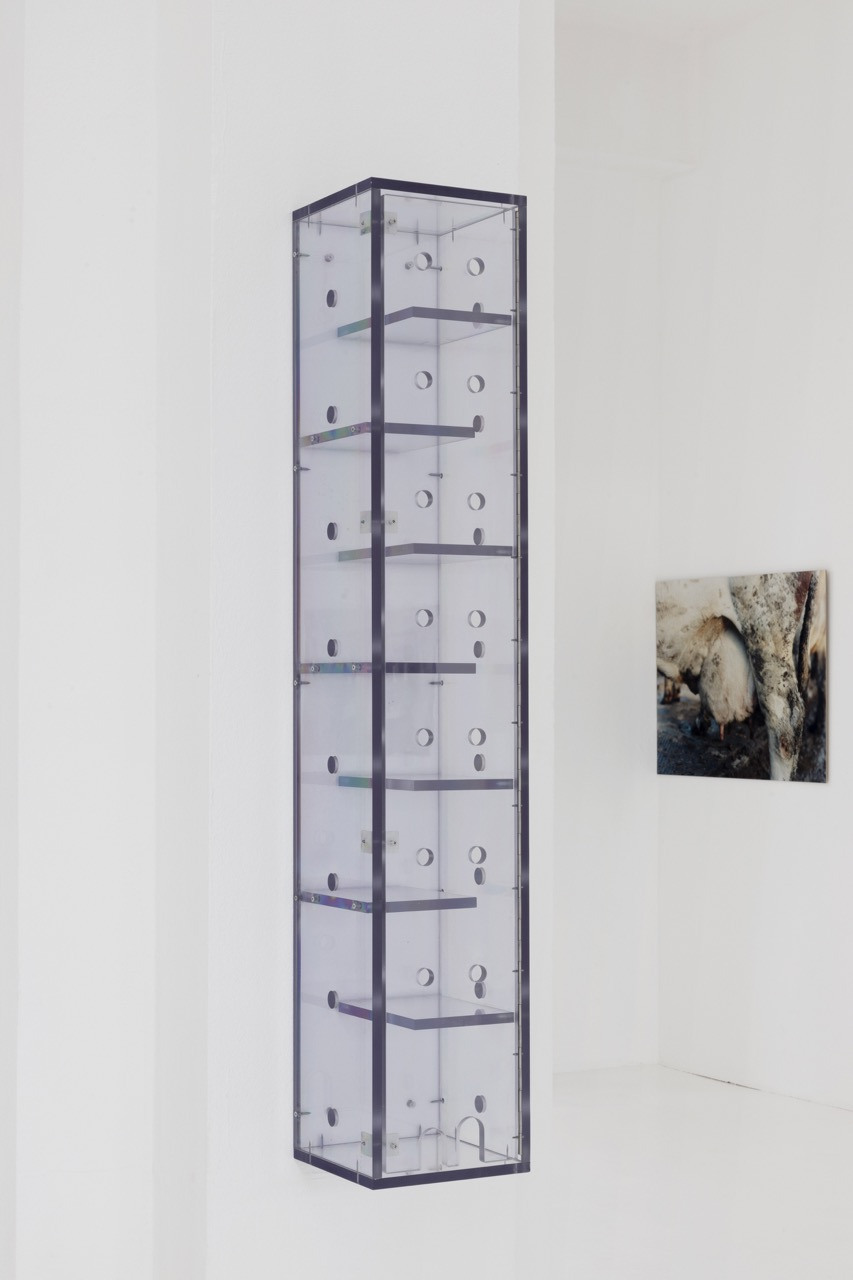 On the left: Gina Folly, Magic Box IX, 2024, polycarbonate, screws, 140 x 25 x 25 cm. Exhibition view The Simple Life by Gina Folly, CAC - la synagogue de Delme, 2024. Photo: Gina Folly.