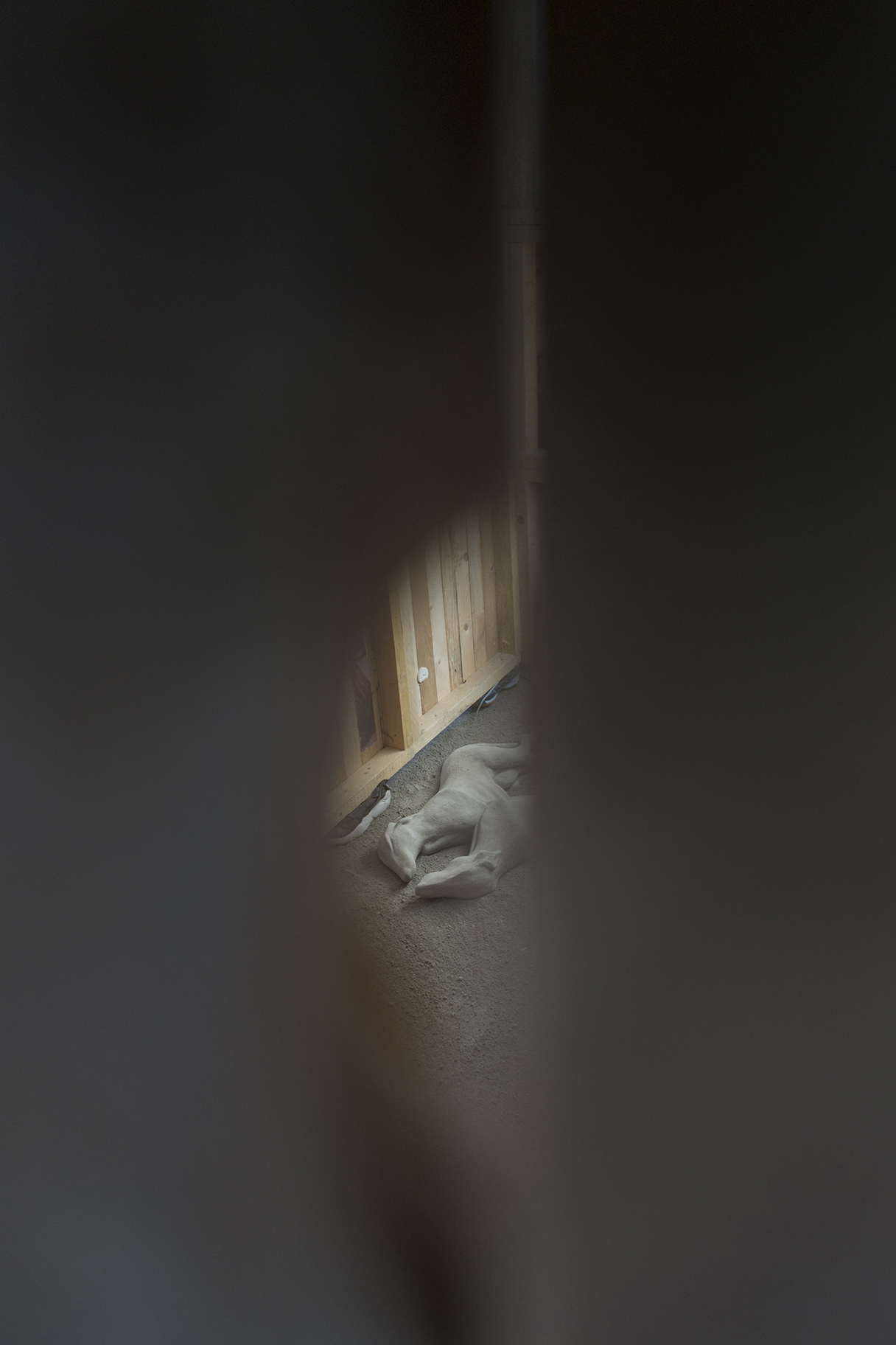 Exhibition view, Point de Fusion, 2023, Juan Gugger & Xolo Cuintle, Poush, Aubervilliers