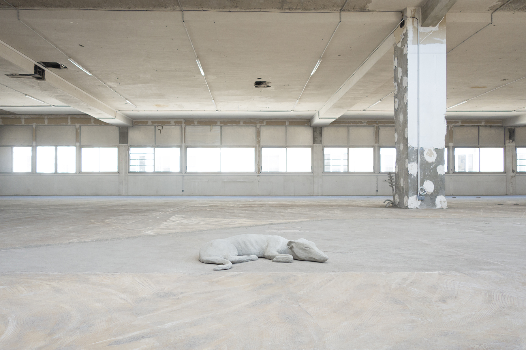 You to me (2021), Xolo Cuintle, Point de Fusion, exhibition view, Poush, Aubervilliers