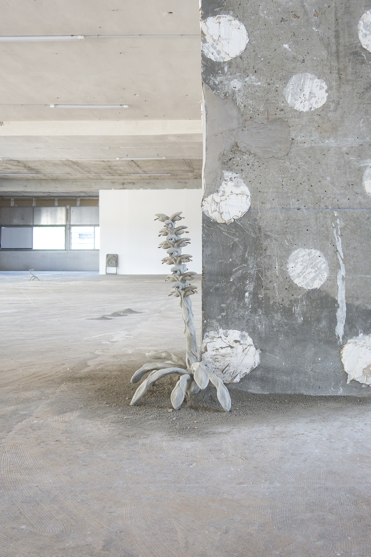 Soft Acanthus (2021), Xolo Cuintle, Point de Fusion, exhibition view, Poush, Aubervilliers