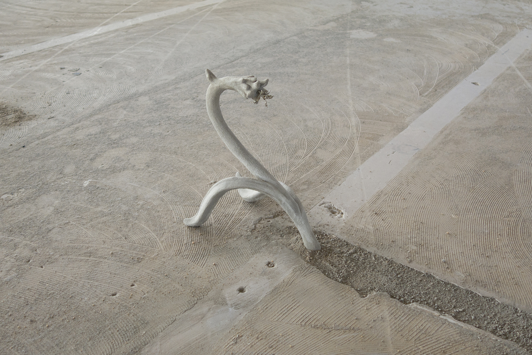 Ricocheting Flower (2021), Xolo Cuintle, Point de Fusion, exhibition view, Poush, Aubervilliers