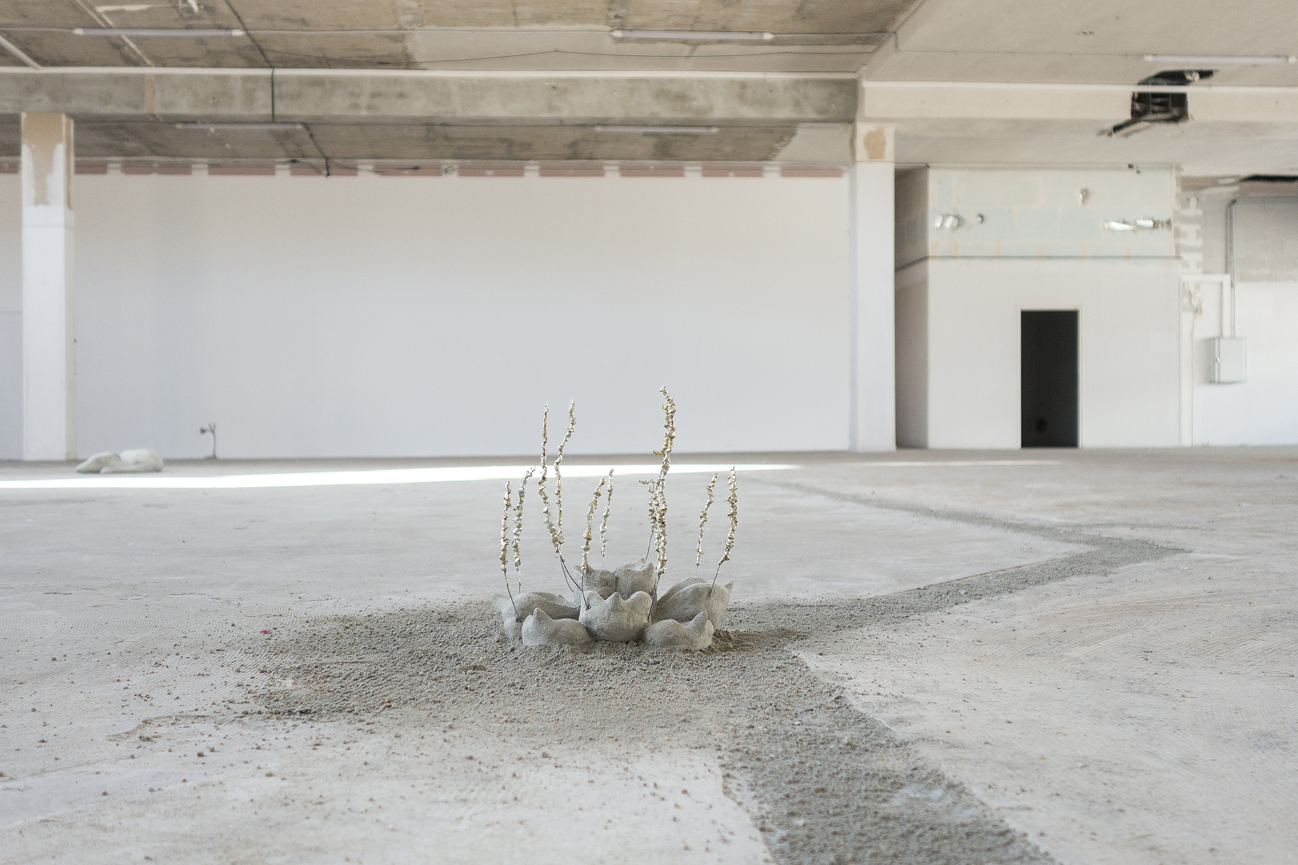 Nenuphar (2021), Xolo Cuintle, Point de Fusion, exhibition view, Poush, Aubervilliers