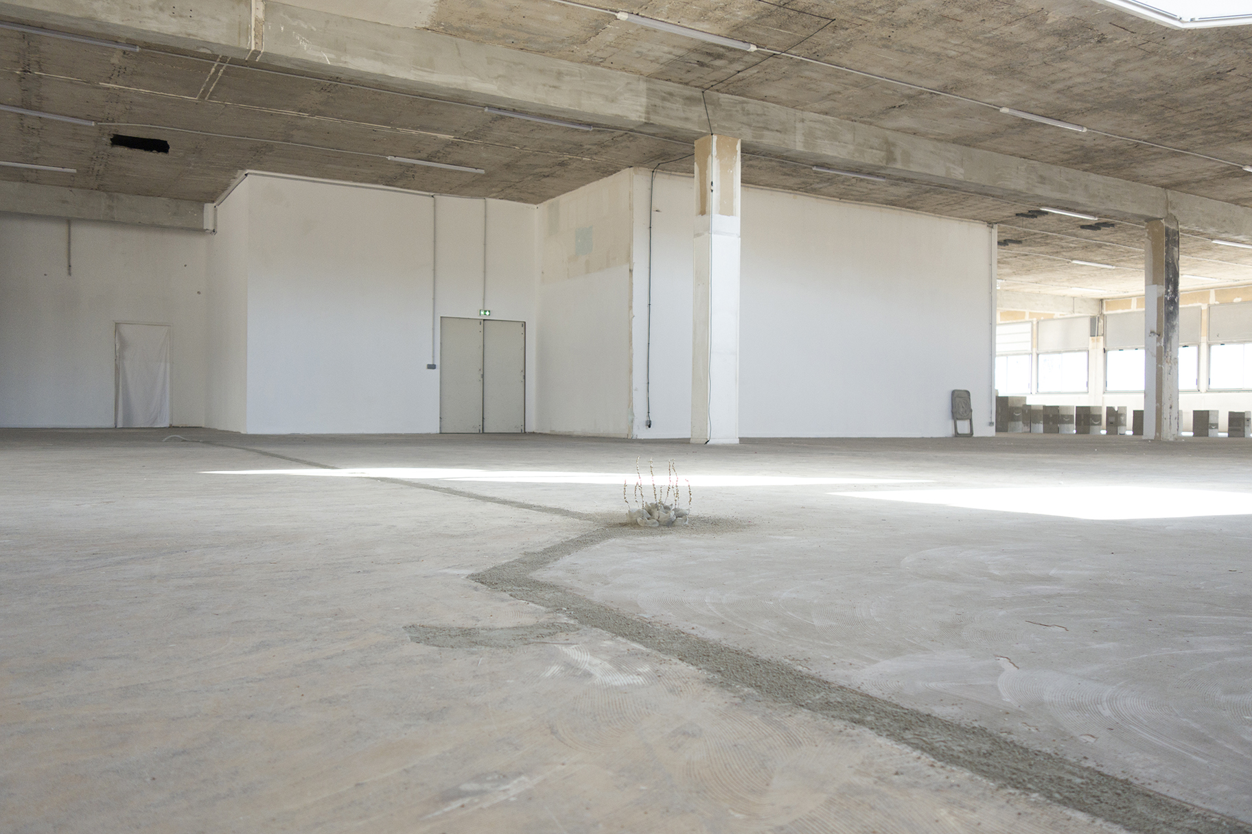 Exhibition view, Point de Fusion, 2023, Juan Gugger & Xolo Cuintle, Poush, Aubervilliers