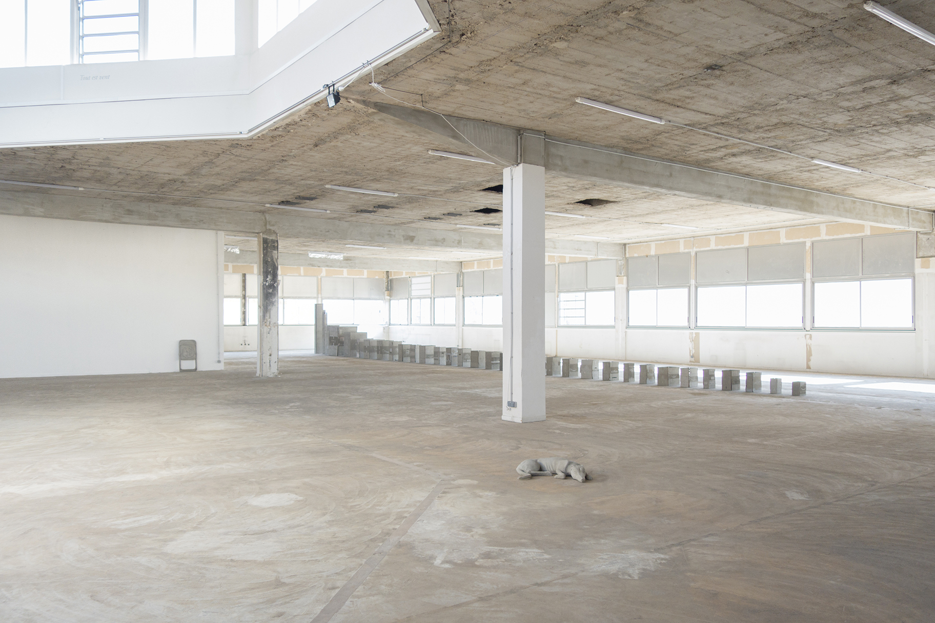 Exhibition view, Point de Fusion, 2023, Juan Gugger & Xolo Cuintle, Poush, Aubervilliers 