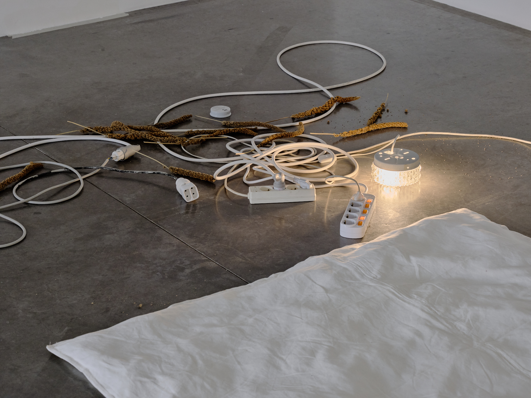 Andréa Spartà, untitled, exhibition view : Longlife, Frac Île de France