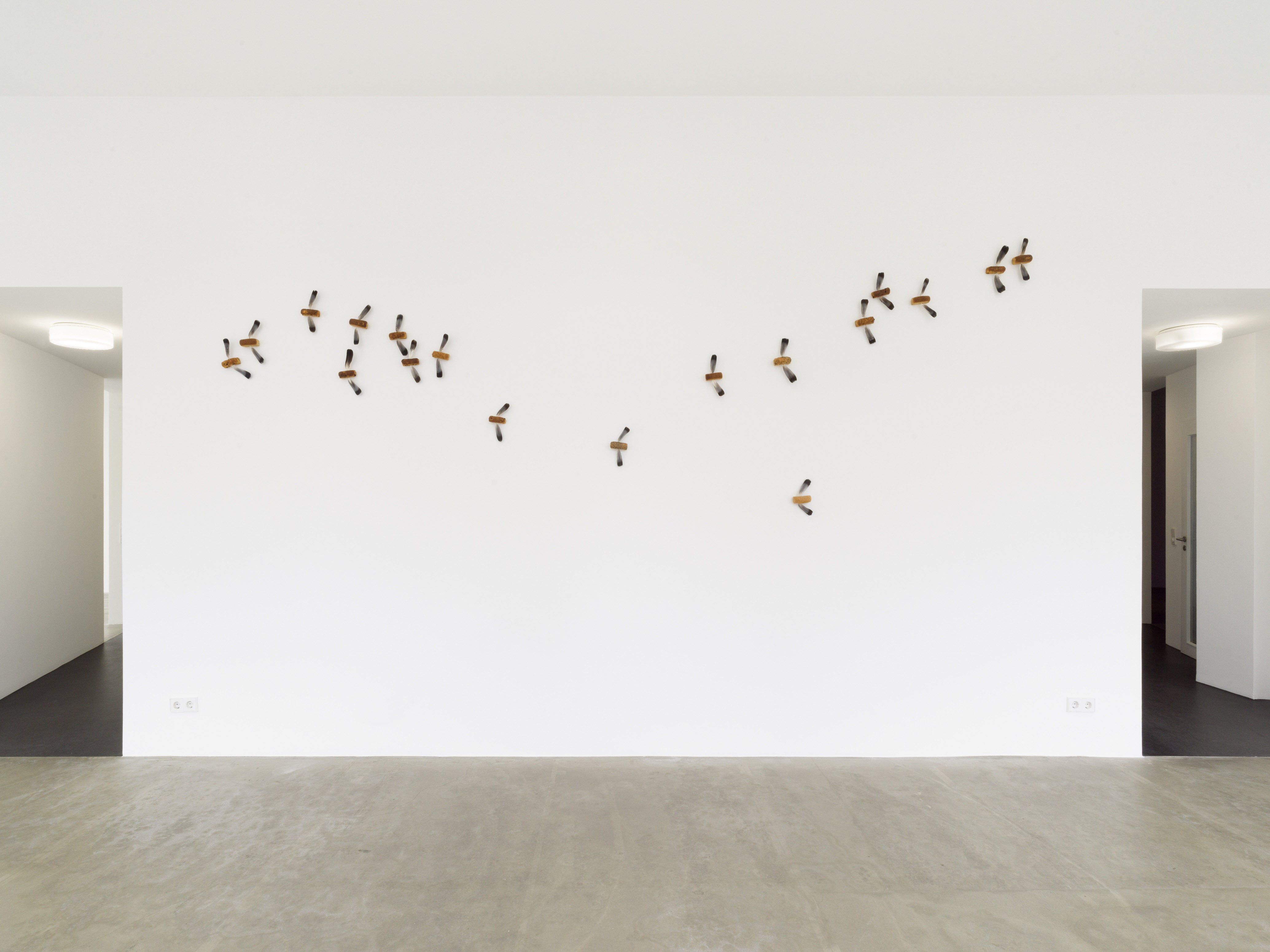 Lothar Baumgarten, „Moskitos“, 1969, 18 Breads, 36 pigeon feathers, Bread with feathers each 22,2 x 10,8 x 5,1 cm Dimension variable © Lothar Baumgarten Estate, VG Bild-Kunst, Bonn 2024