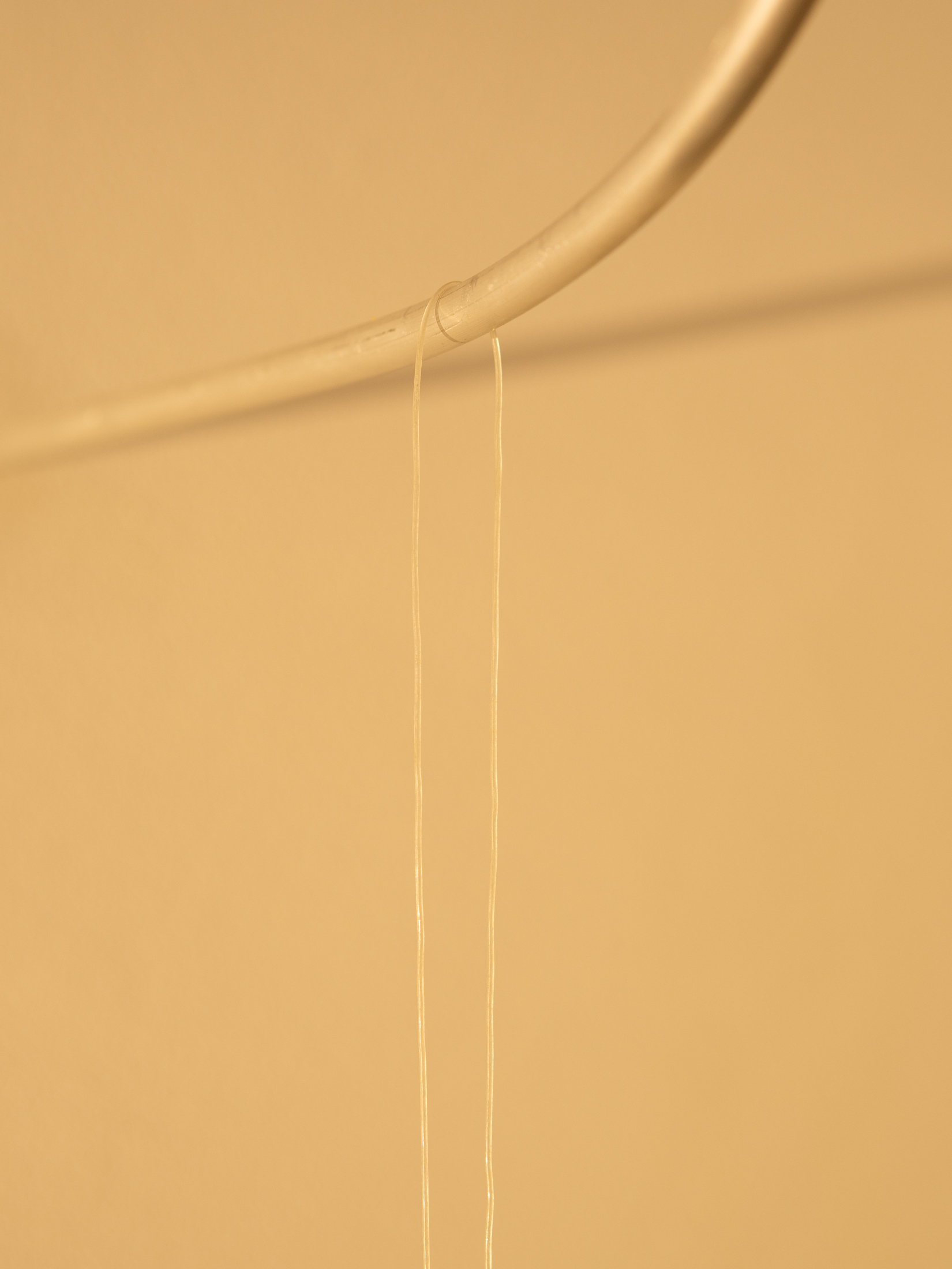 Eglė Petrošiūtė “Barely Hanging on”, aluminum, silicone