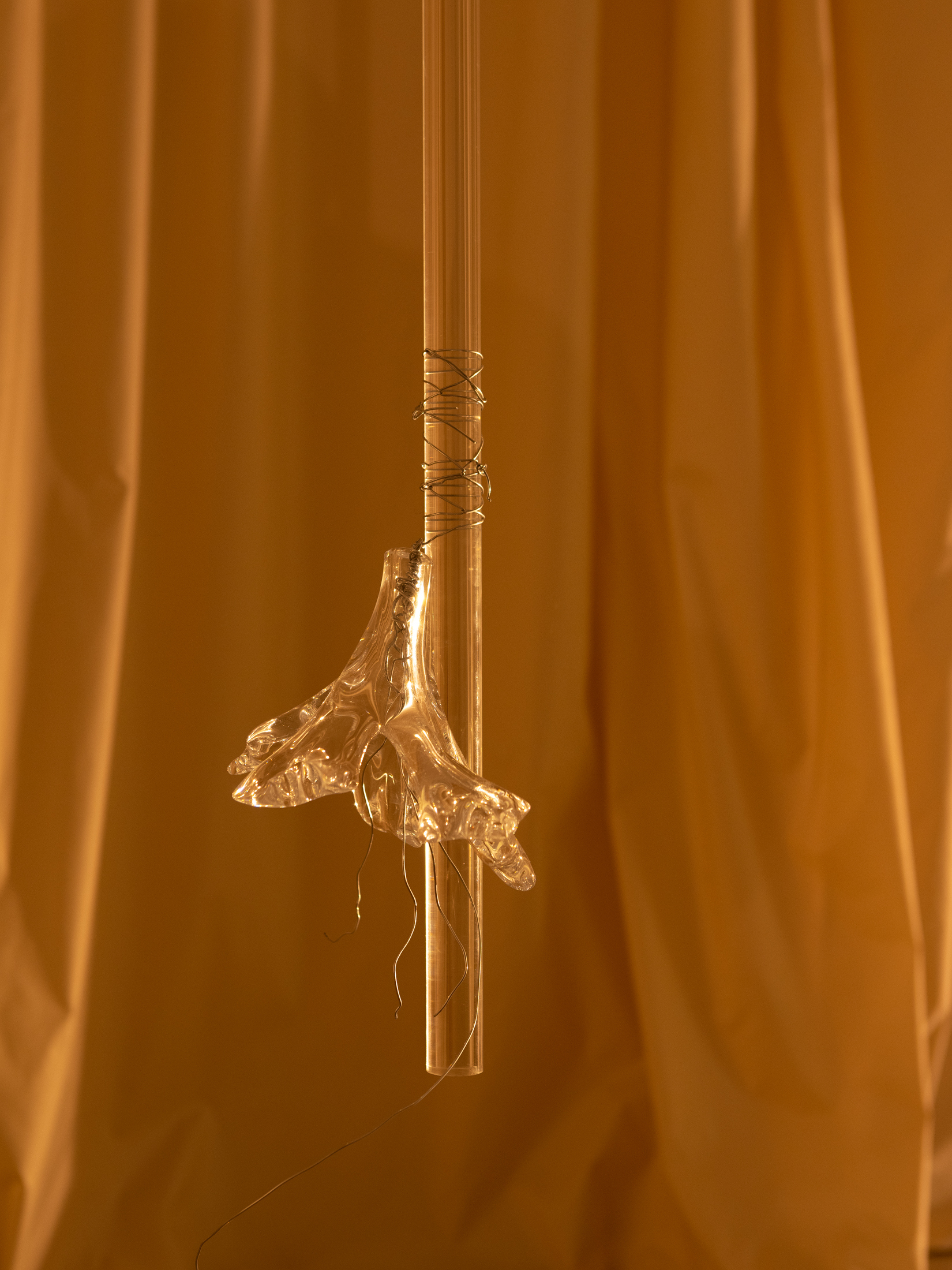 Eglė Petrošiūtė “In Lust”, organic glass, glass, aluminium