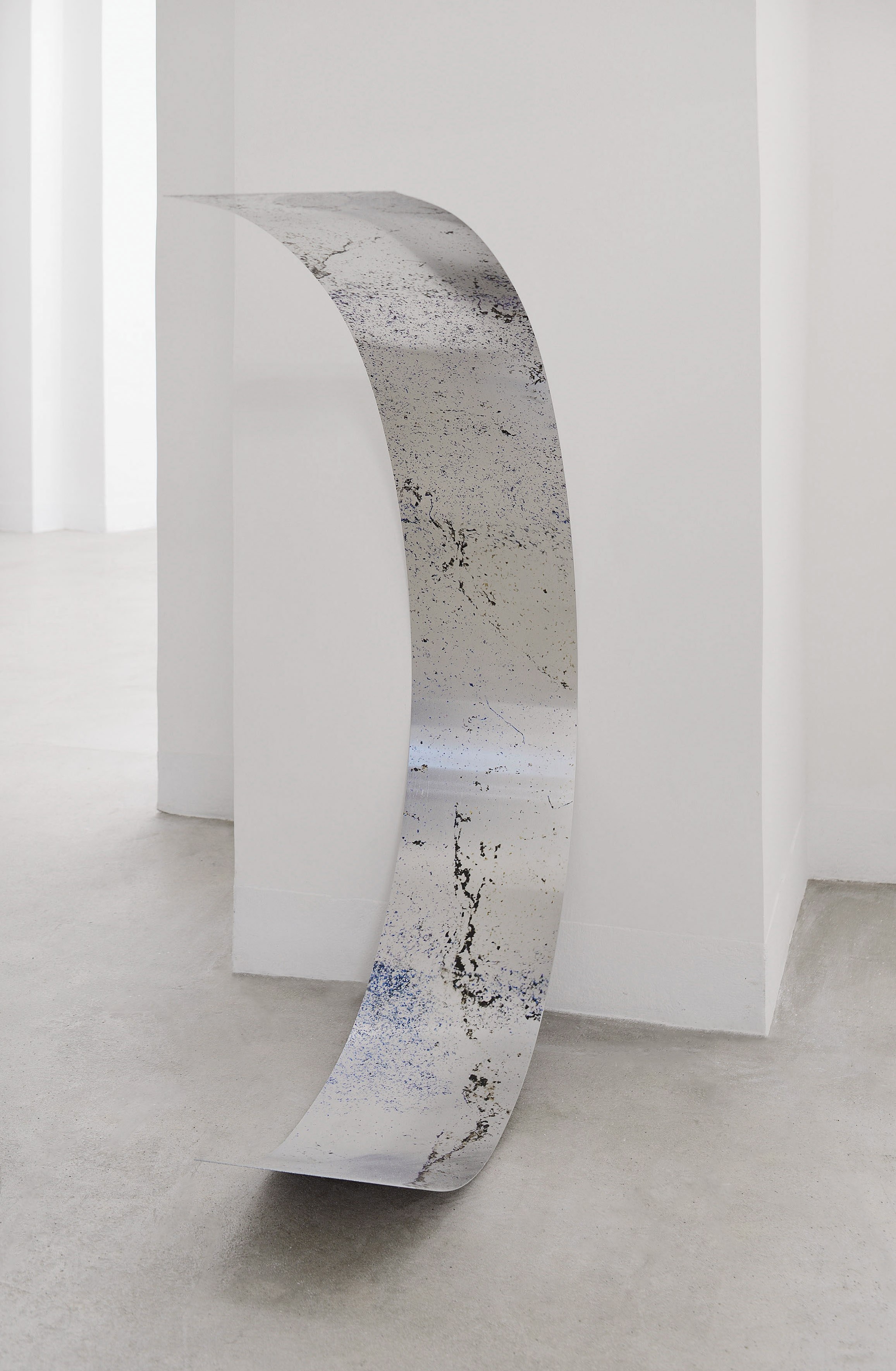 Chen Xiaoyi, Spoken Leaves, 2024, exhibition view, Matèria, Roma. Courtesy the artist and Matèria, Roma