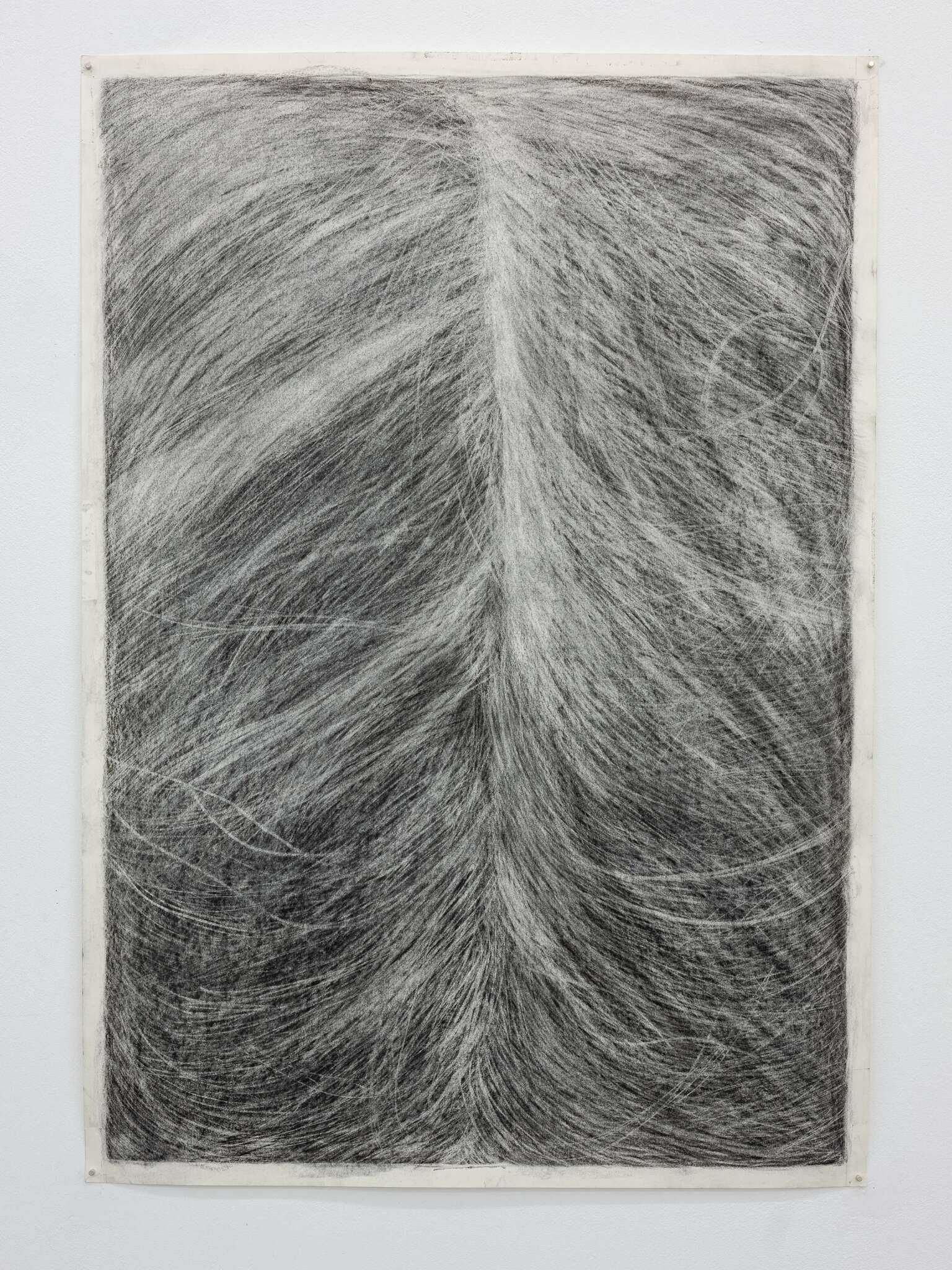 Juewen Zhang, untitled (Sophia), 2023 · Charcoal and pencil on paper · 100 × 70 cm · Unique