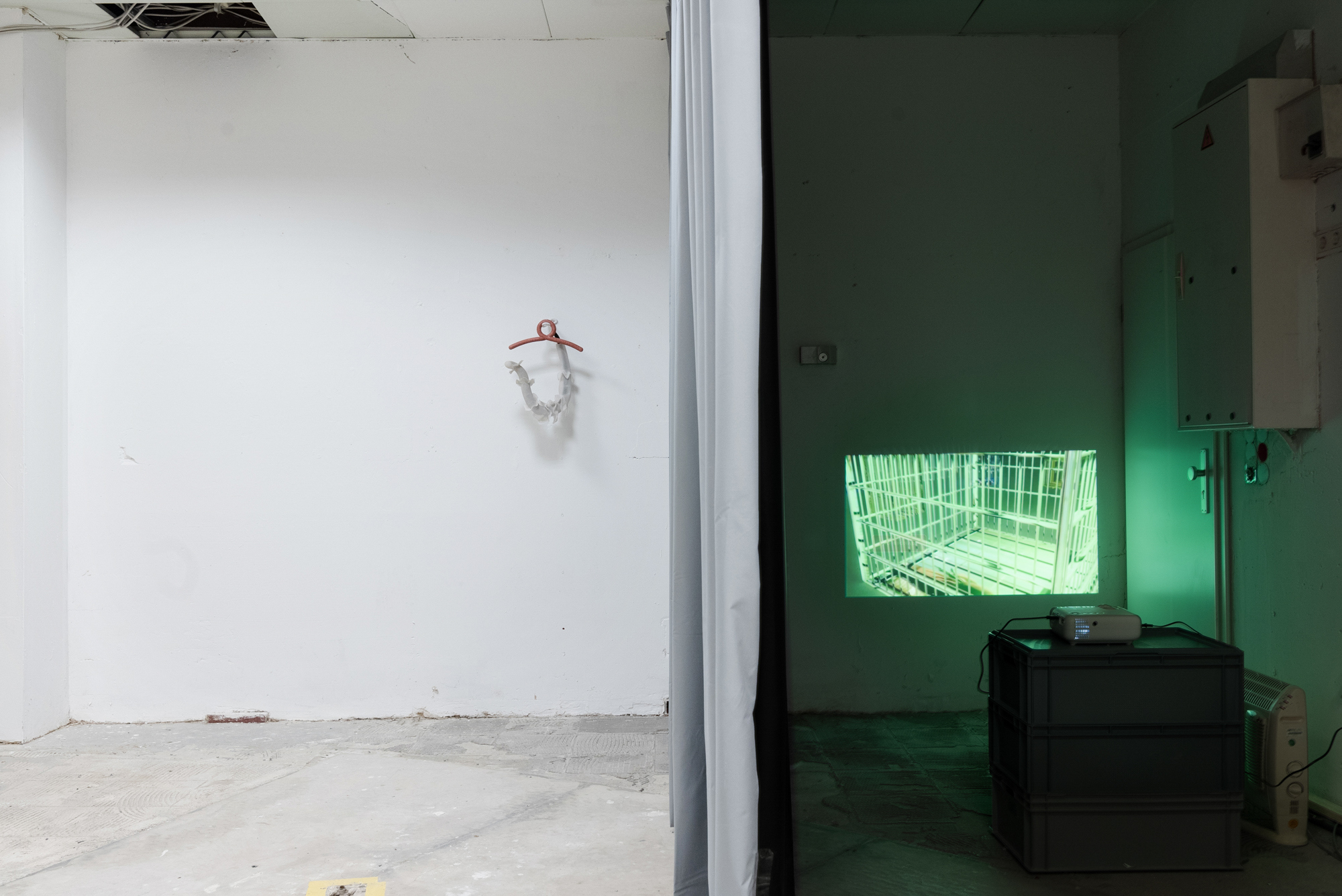 Manuel Cornelius & Janine Steiner, All Eyes, 2024, installation view