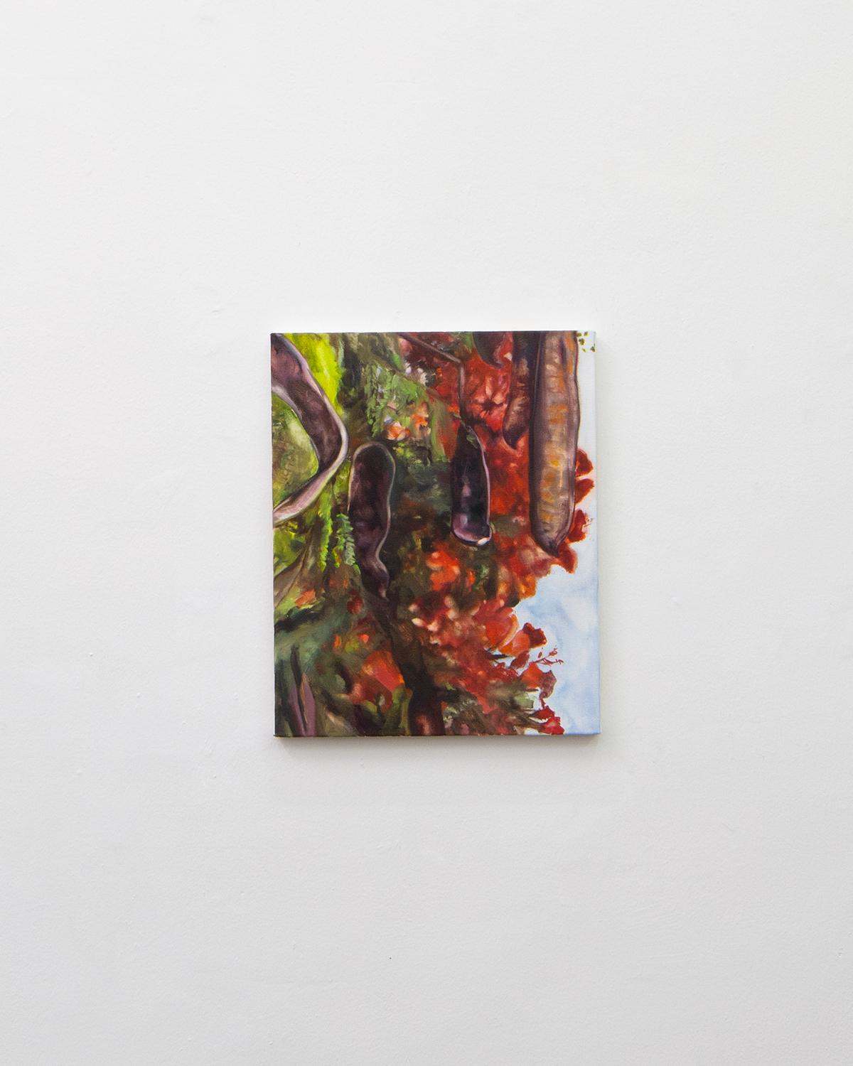 Medium Sized Sara Knowland Oil on canvas   50 x 41 cm 2023