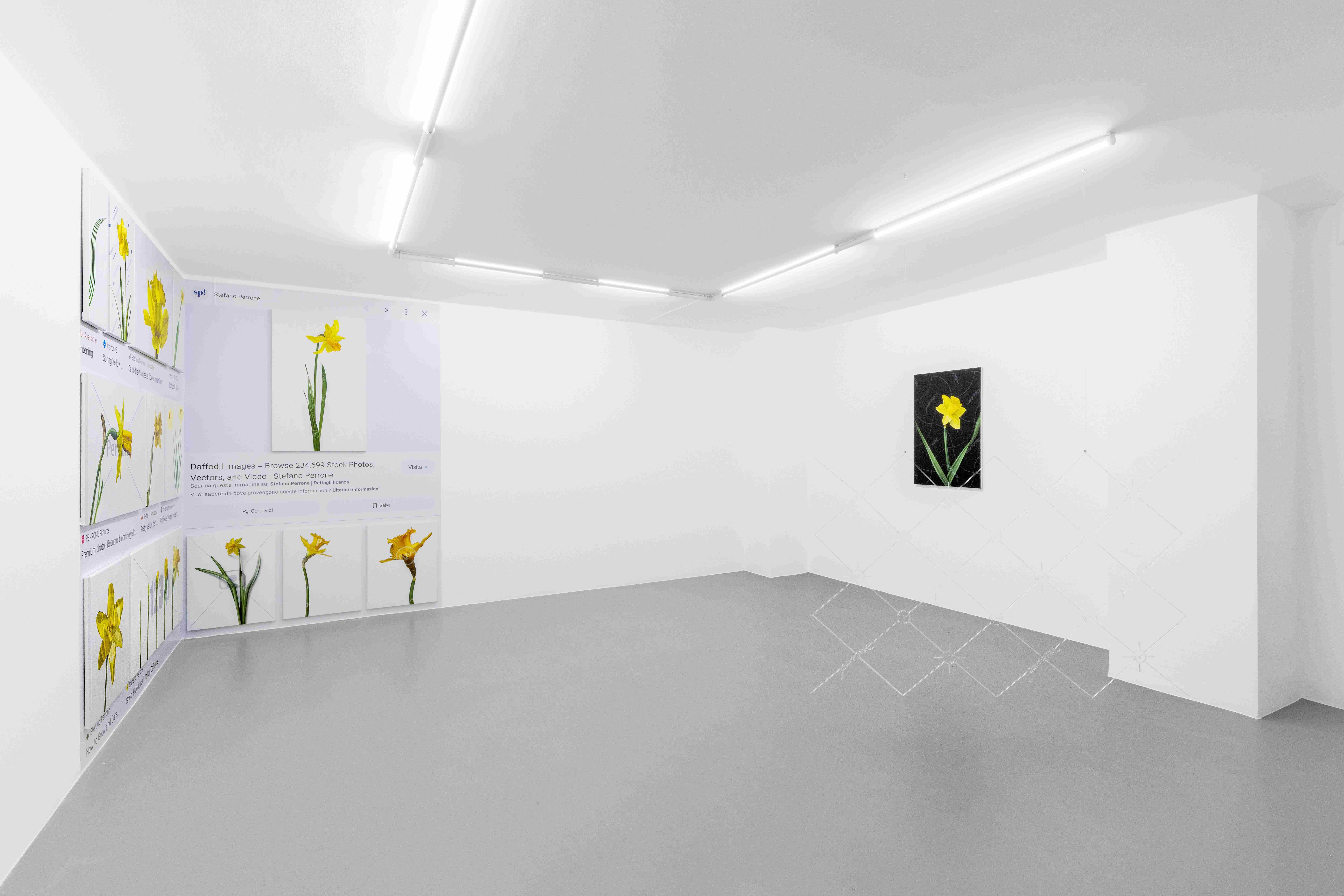 Stefano Perrone, Stunning Free Images to Use Anywhere, 2024, installation view @RIBOT