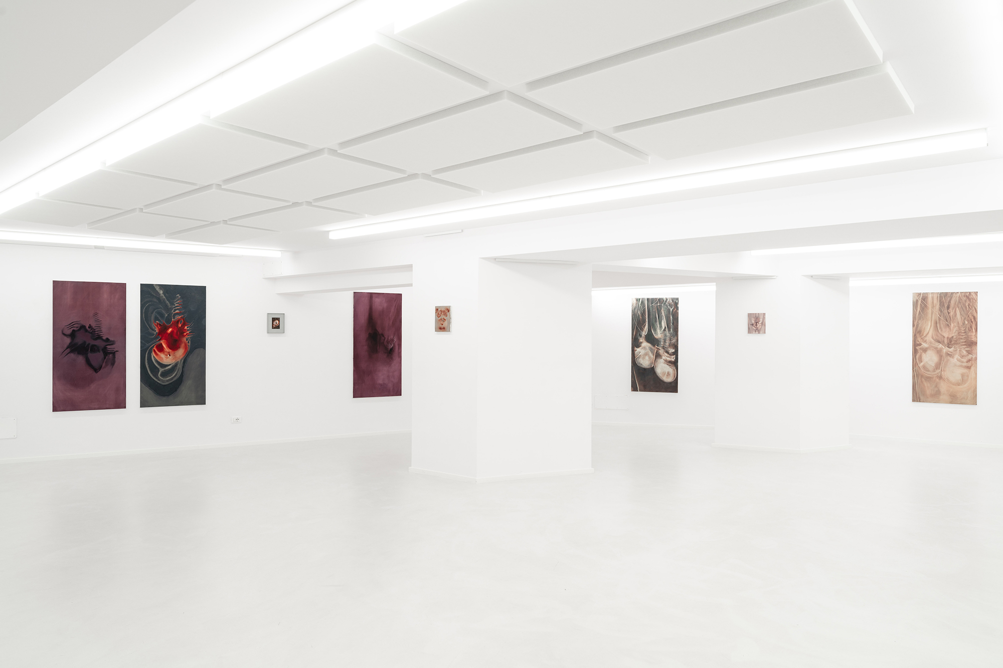 Ludovica Anversa, Autotomia, Exhibition view, Fondazione La Rocca, 2024, Pescara