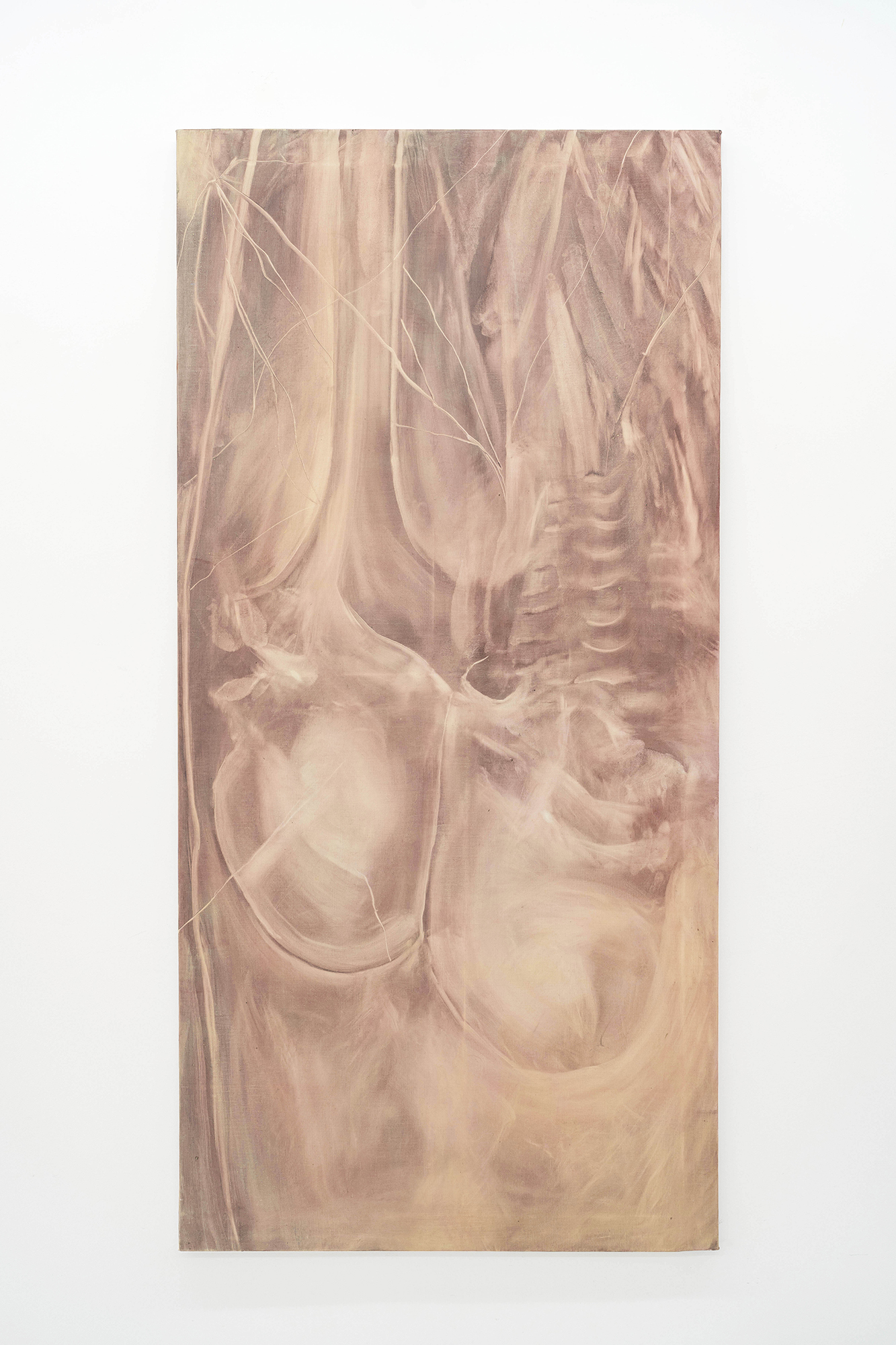 Membrane 2023 oil on linen 145 x 70 cm