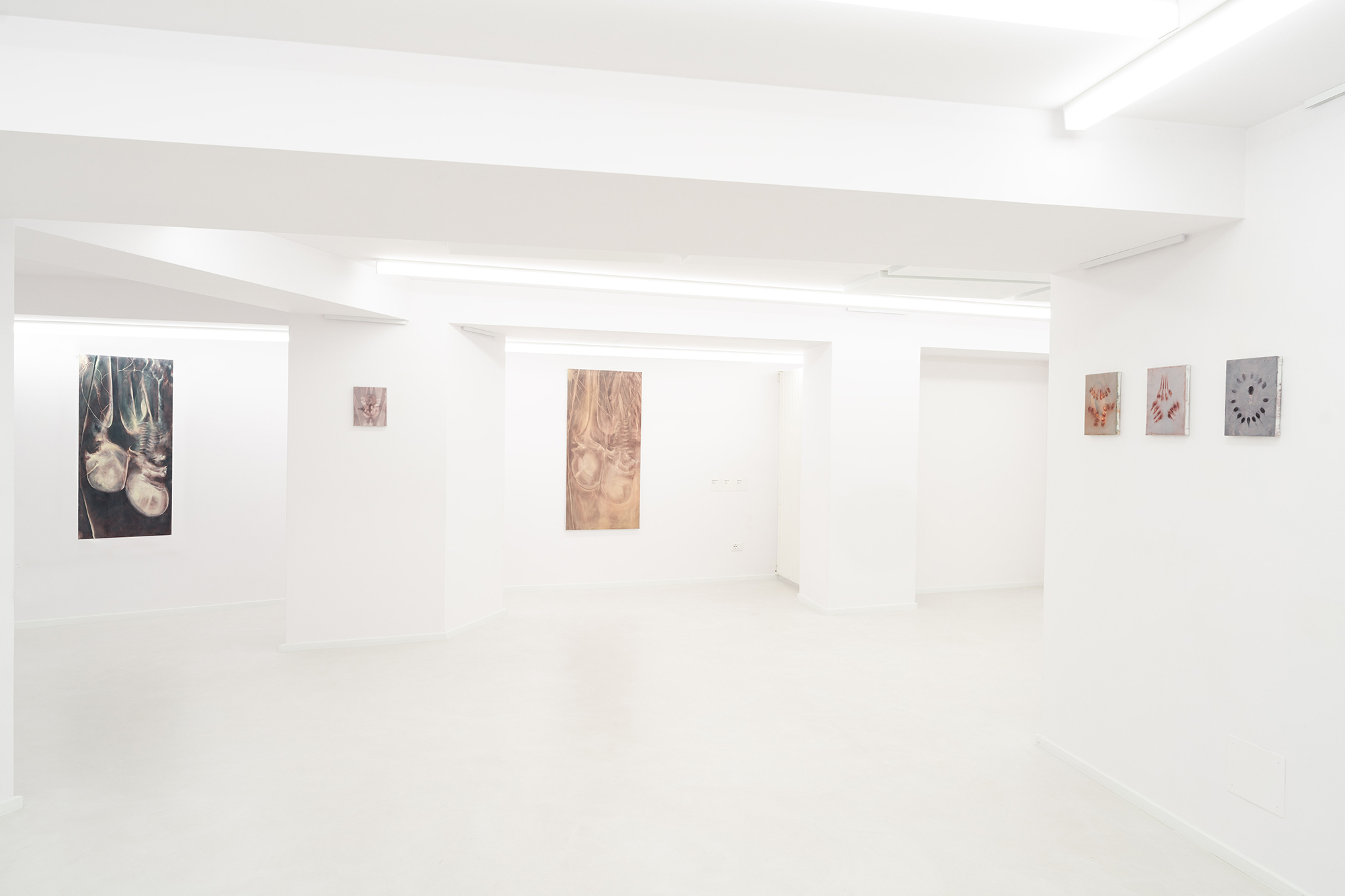 Ludovica Anversa, Autotomia, Exhibition view, Fondazione La Rocca, 2024, Pescara