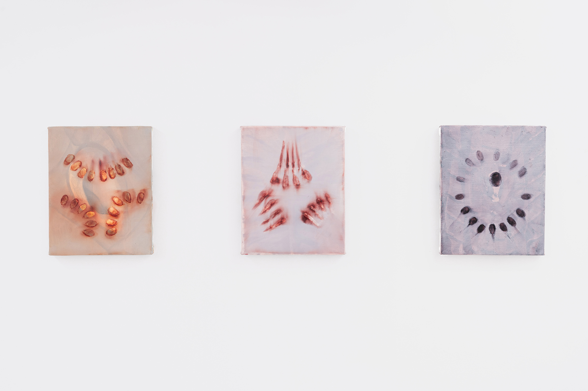 Bad seeds #3 2024 oil on linen 20 x 25 cm;Bad seeds #4 2024 oil on linen 25 x 20 cm;Haloed #4 2024 oil on linen 25 x 20 cm