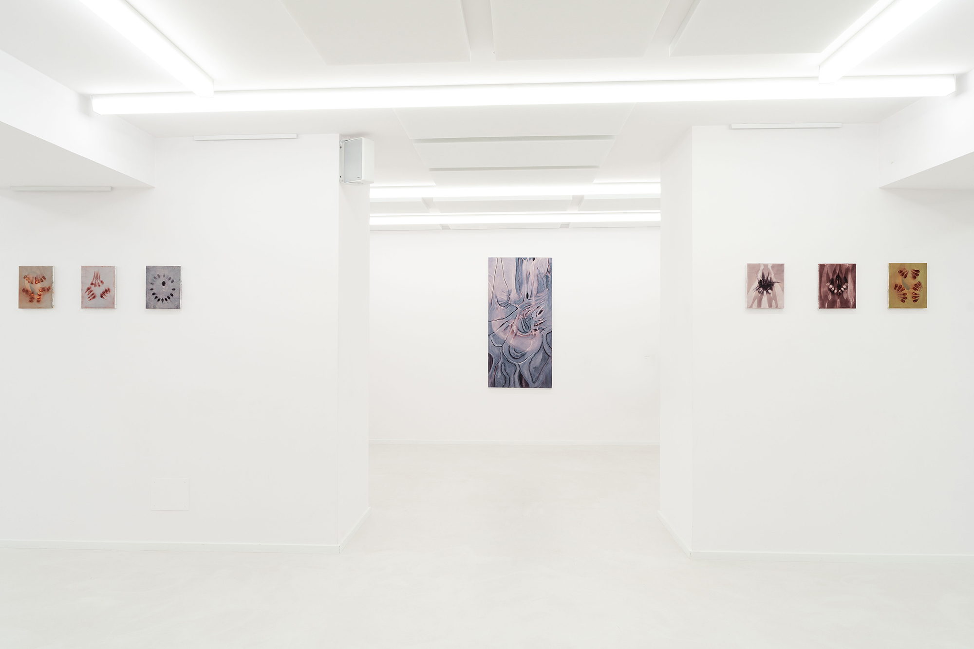 Ludovica Anversa, Autotomia, Exhibition view, Fondazione La Rocca, 2024, Pescara