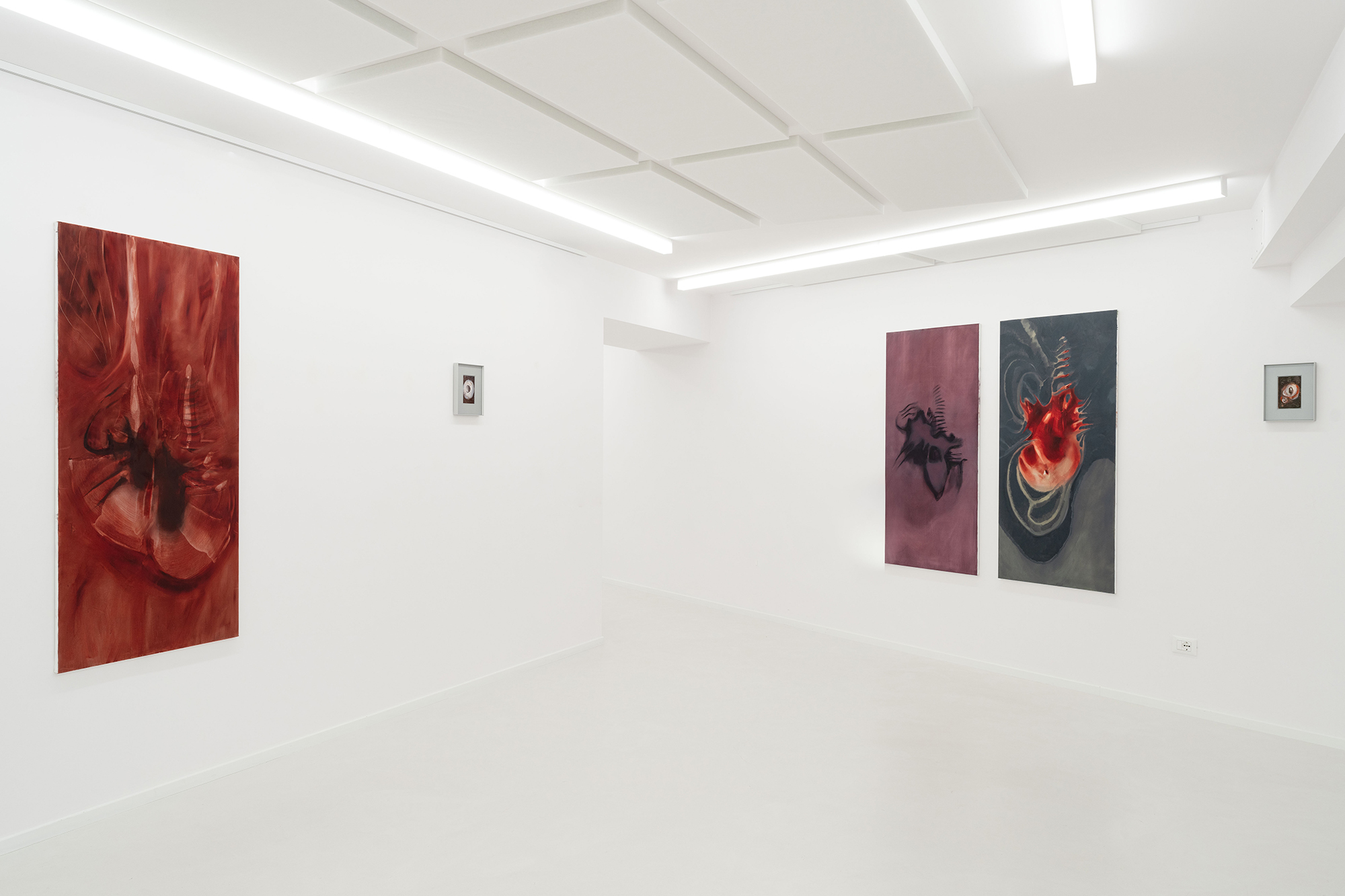 Ludovica Anversa, Autotomia, Exhibition view, Fondazione La Rocca, 2024, Pescara