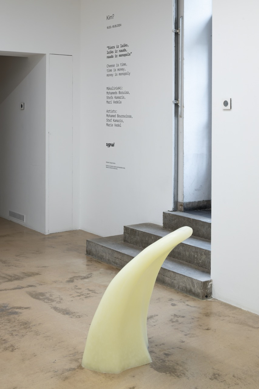 Image courtesy of Kim? Contemporary Art Centre, Riga. Photos by Ansis Starks