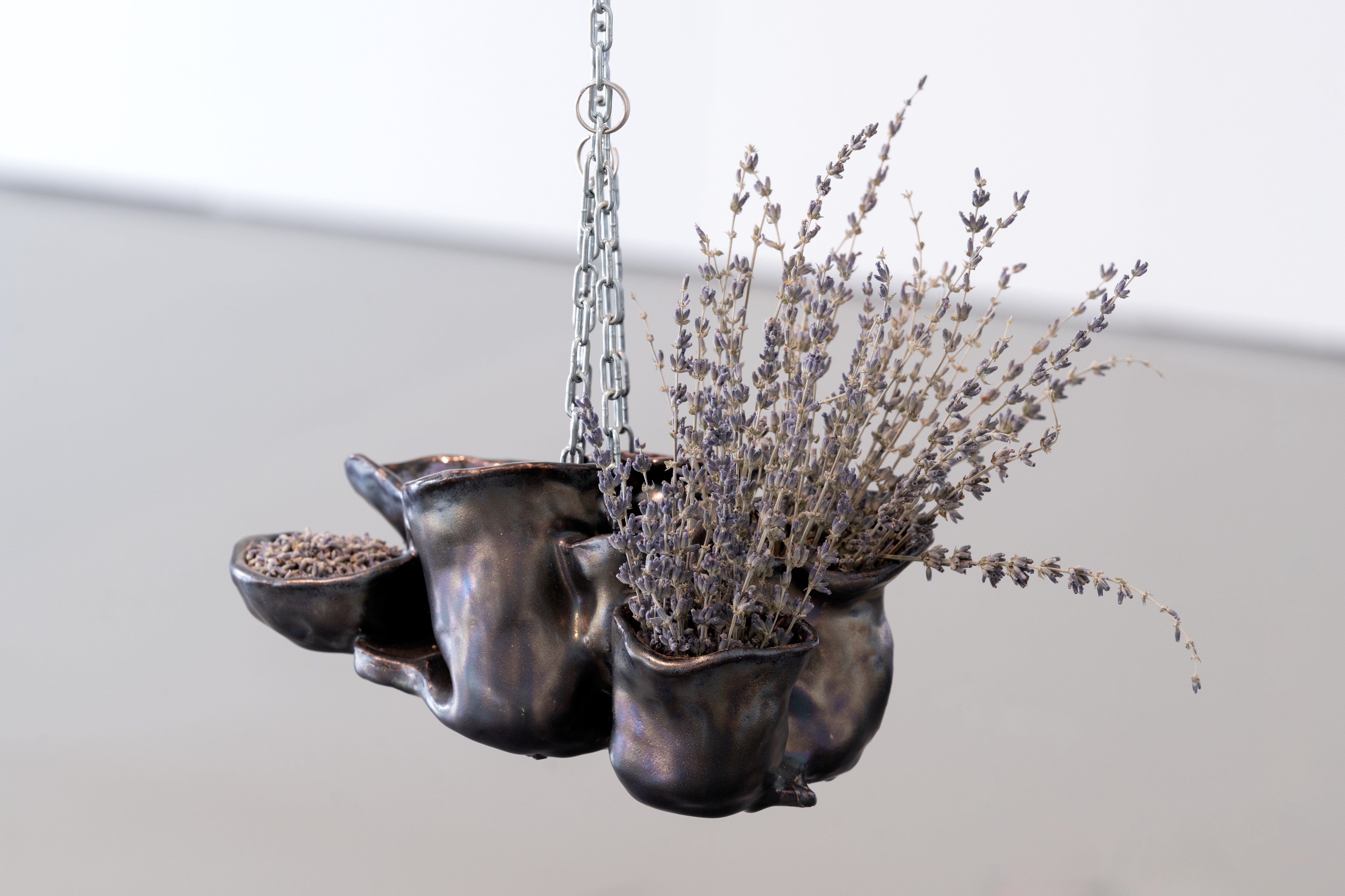 Detail 1 Flourish & Collapse: Practices for Healing through the Planetary Transition (LuĂŻza Luz)
