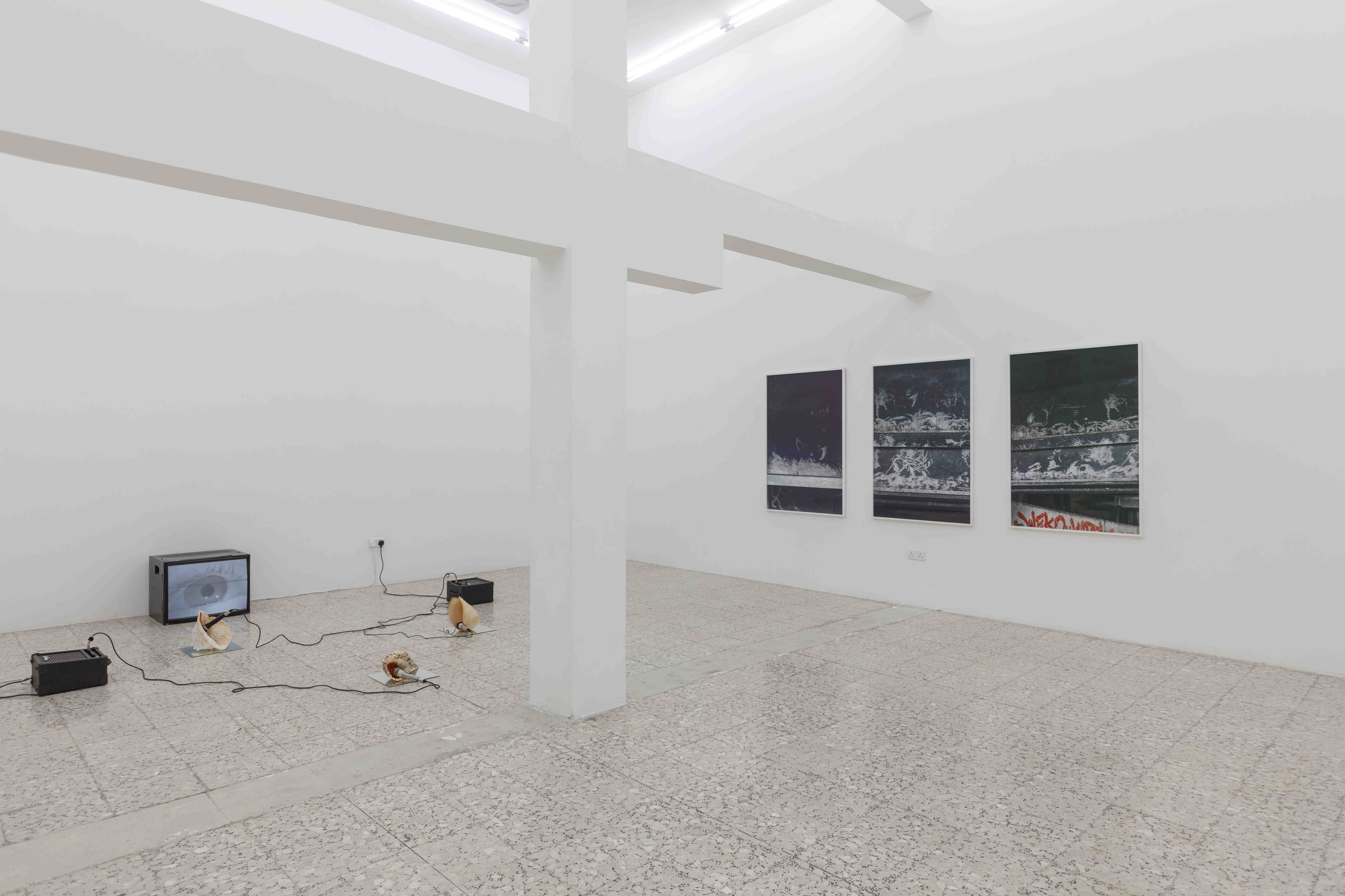 Stelios Kallinikou, Calls and Songs, 2024, Installation view