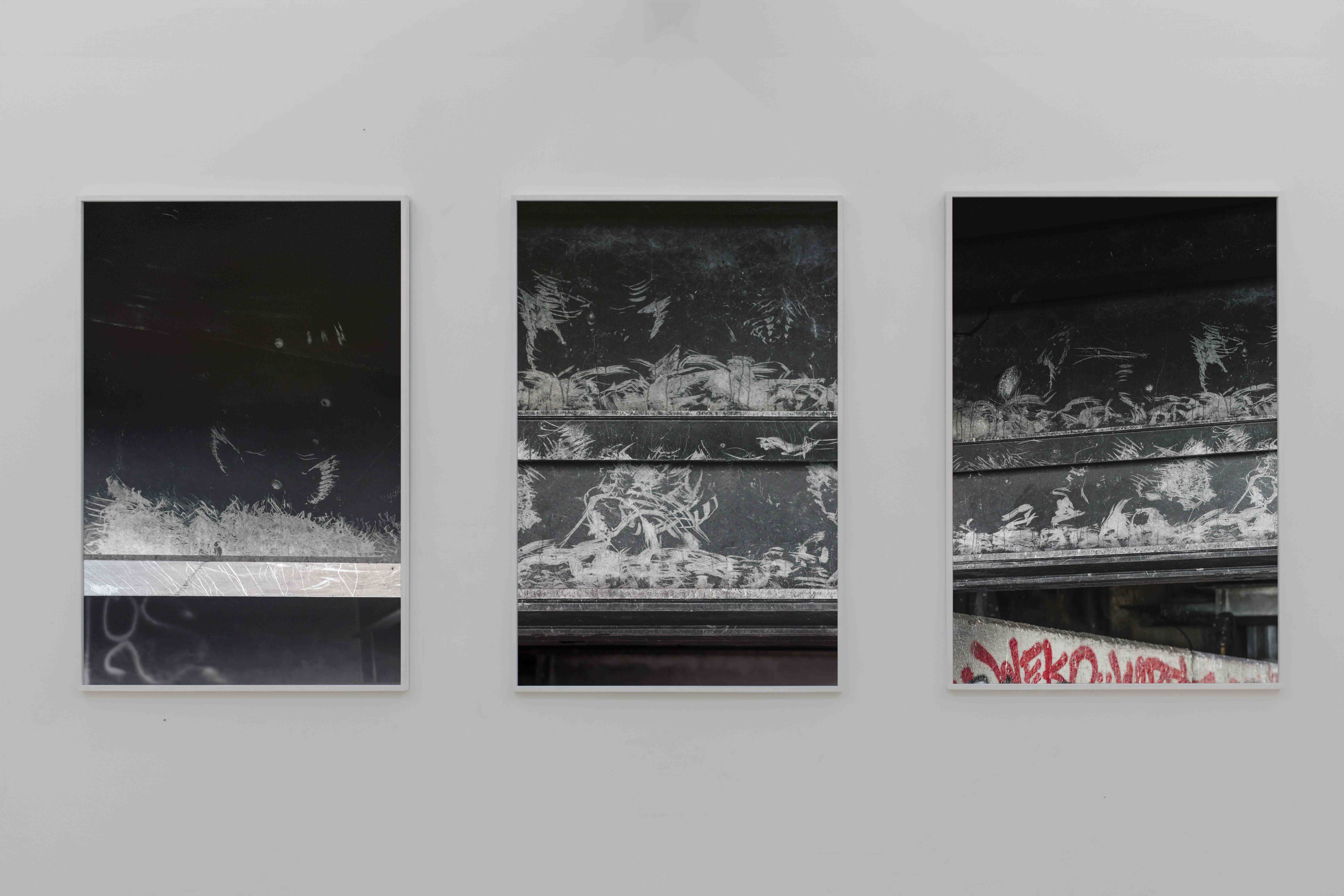 Stelios Kallinikou, Calls and Songs, 2024, Installation view