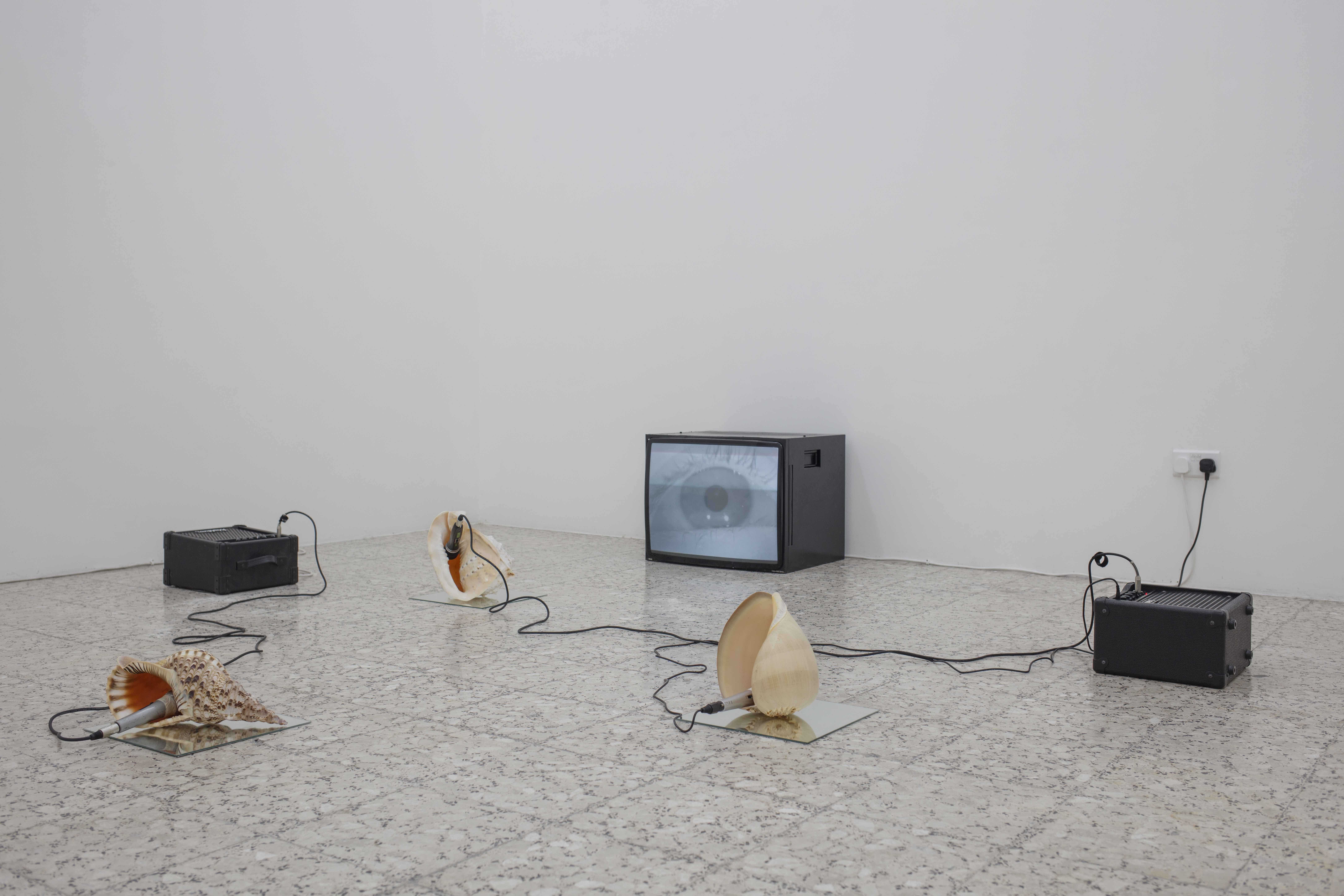 Stelios Kallinikou, Still life 2-4, 2024, sound installation, seashell, mirror, microphone, amplifier, cables, dimensions variable; AMMATIN, 2023 video, sound, loop