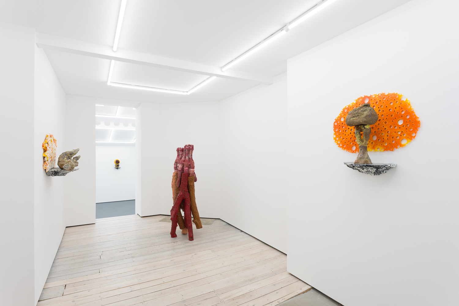 Andrew Sabin, Two Volcanoes, Installation shot