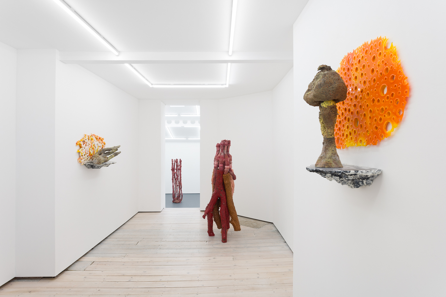 Andrew Sabin, Two Volcanoes, Installation shot