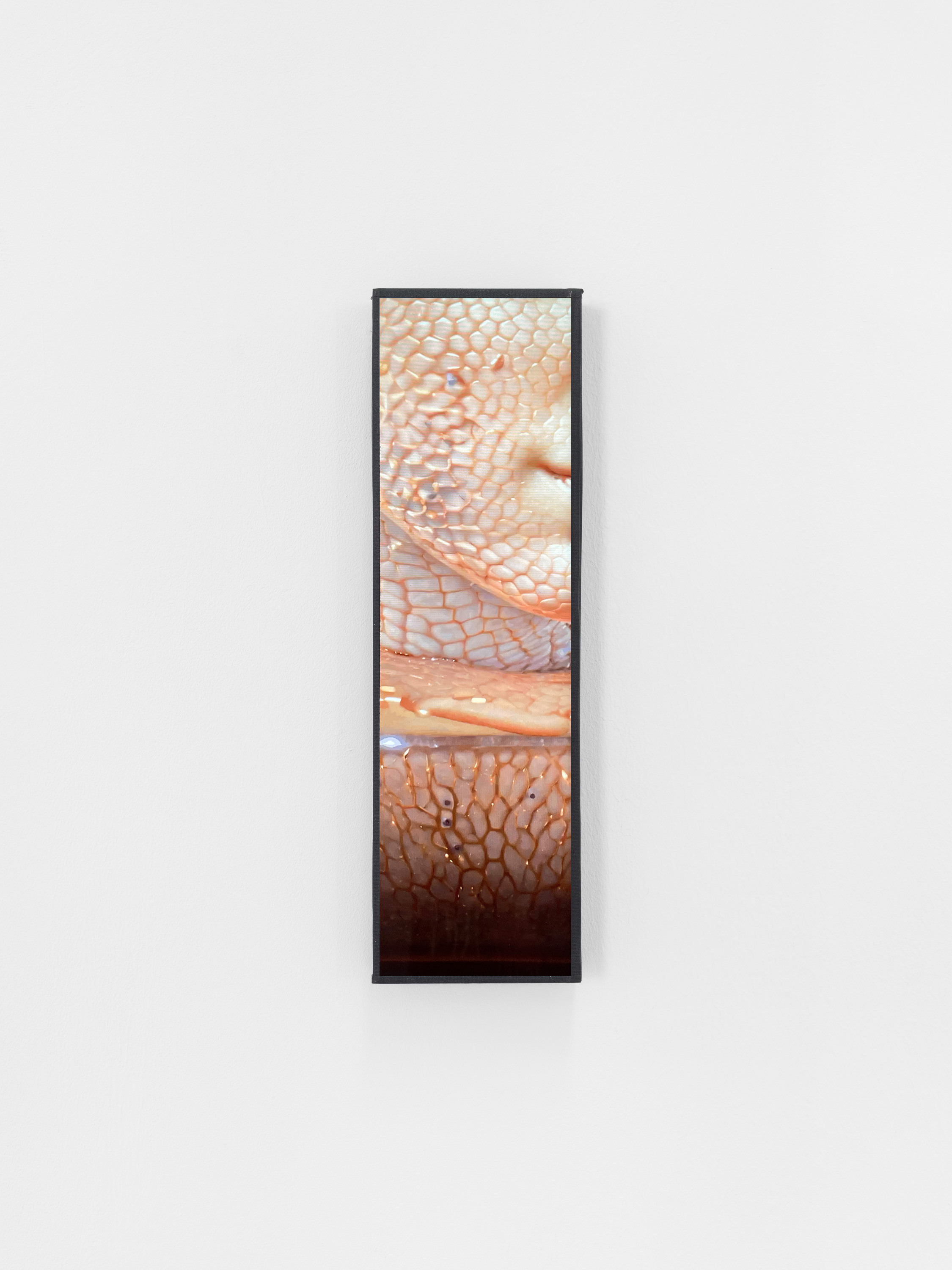 Constant Dullaart, Skin diffusion, 2024 Video, custom screen 31,5 x 9,5 x 3 cm, contact us to view the video