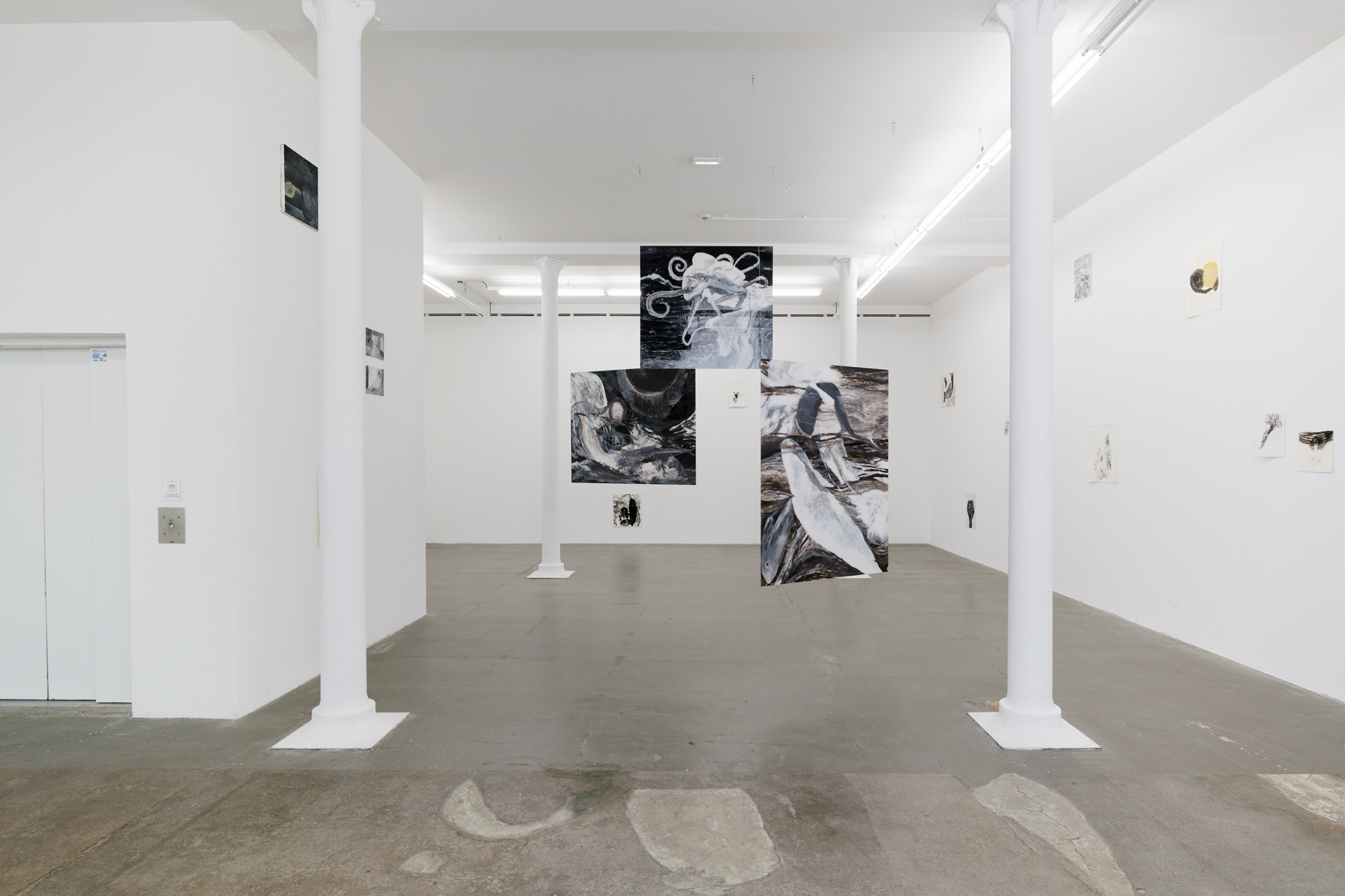 Geneviève Morin, En-dessous du jour (L’infinité des possibles, L’animal plongeur & Monstre marin), 2015. Acrylics under Plexiglas. Courtesy of the artist.