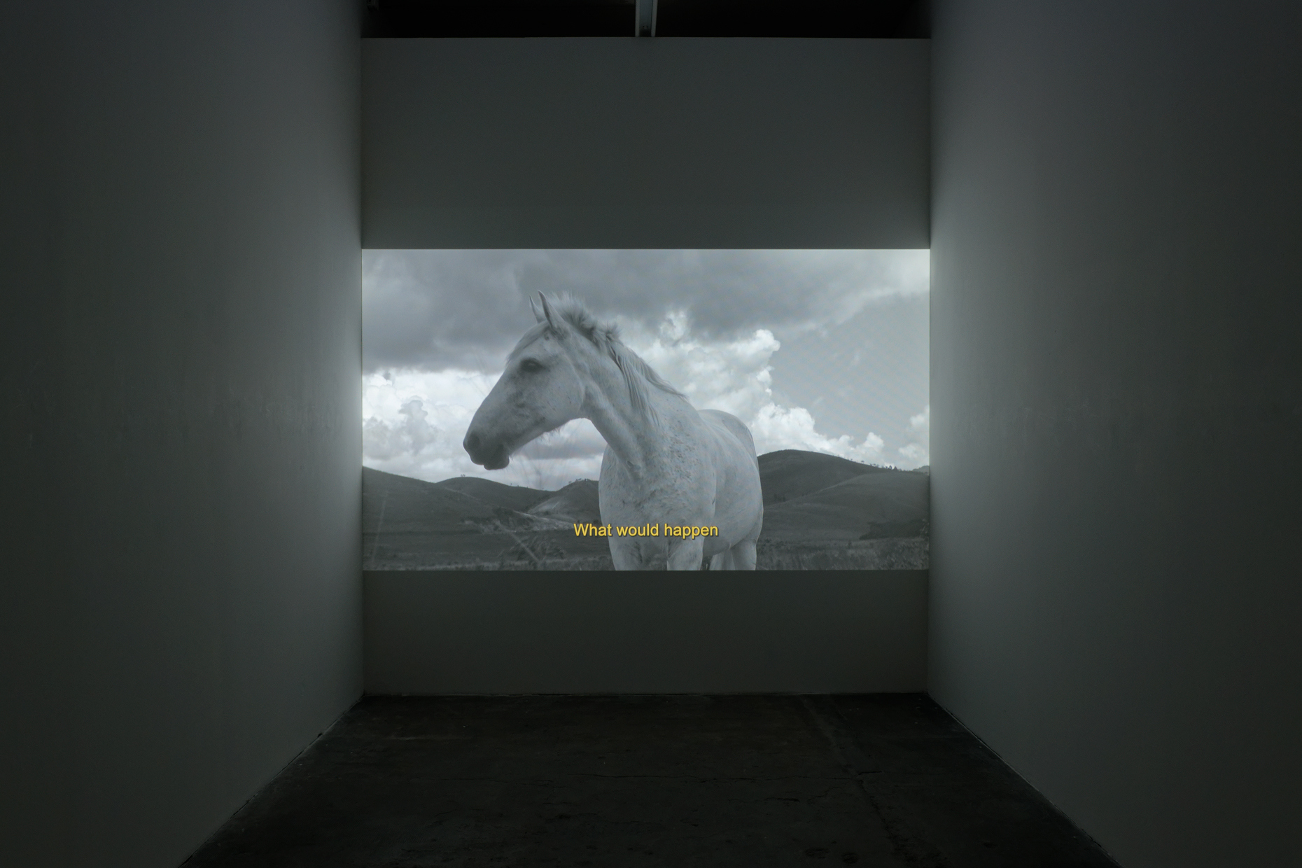 Benedikt Bock, ROBERT ZWEIFEL — Es wäre schön, wenn du bleibst, 2024. HD video, color, sound. 13 min. Courtesy of the artist.