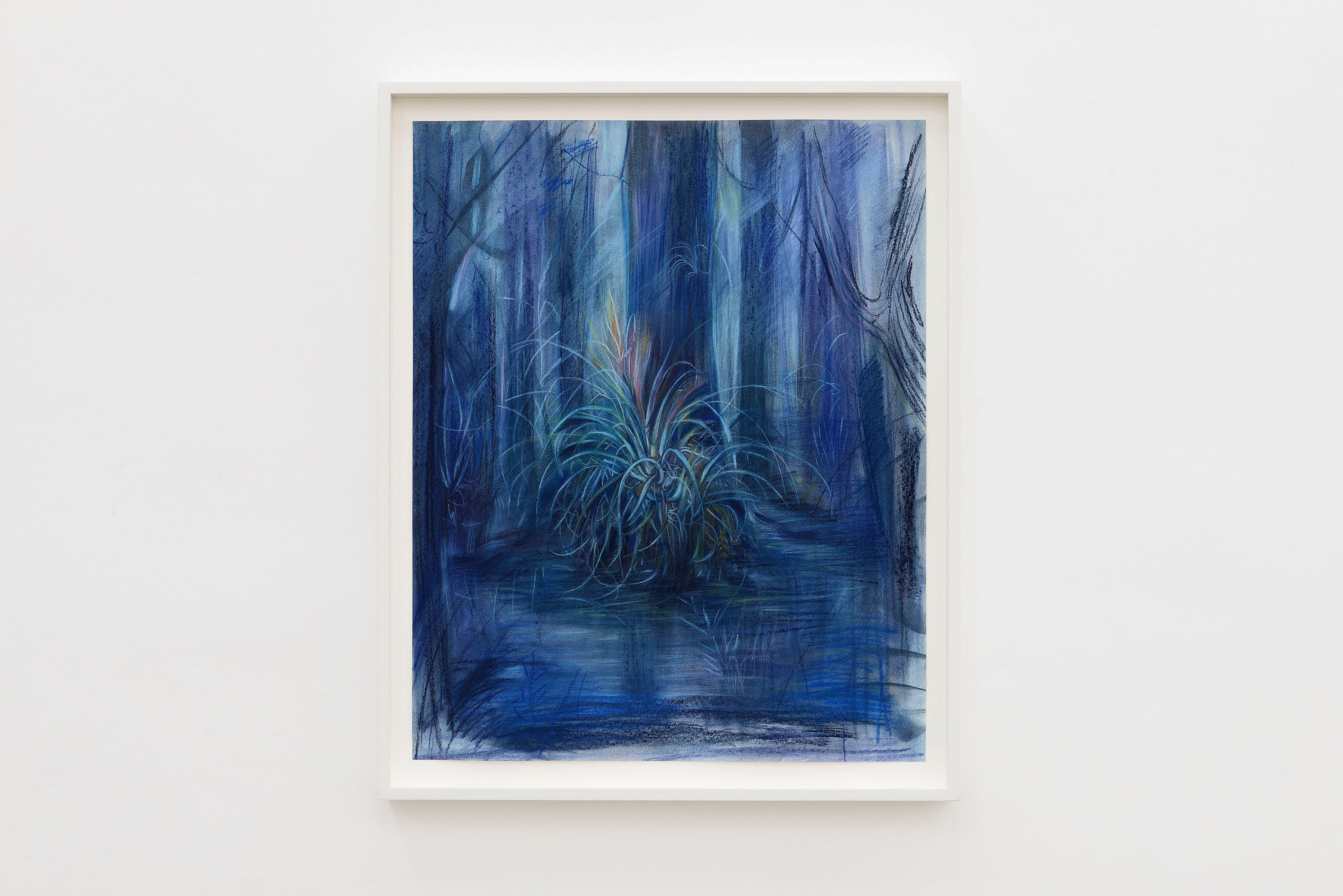 Alina Perez, Bromeliad, 2024, charcoal and pastel on paper, framed, 75 x 61 x 5 cm