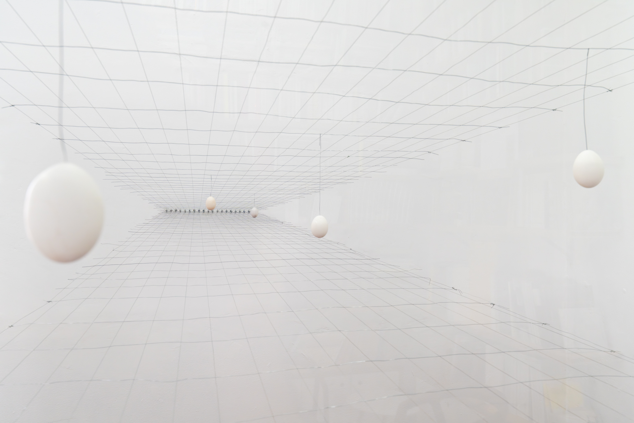 The Egg Incident, 2024