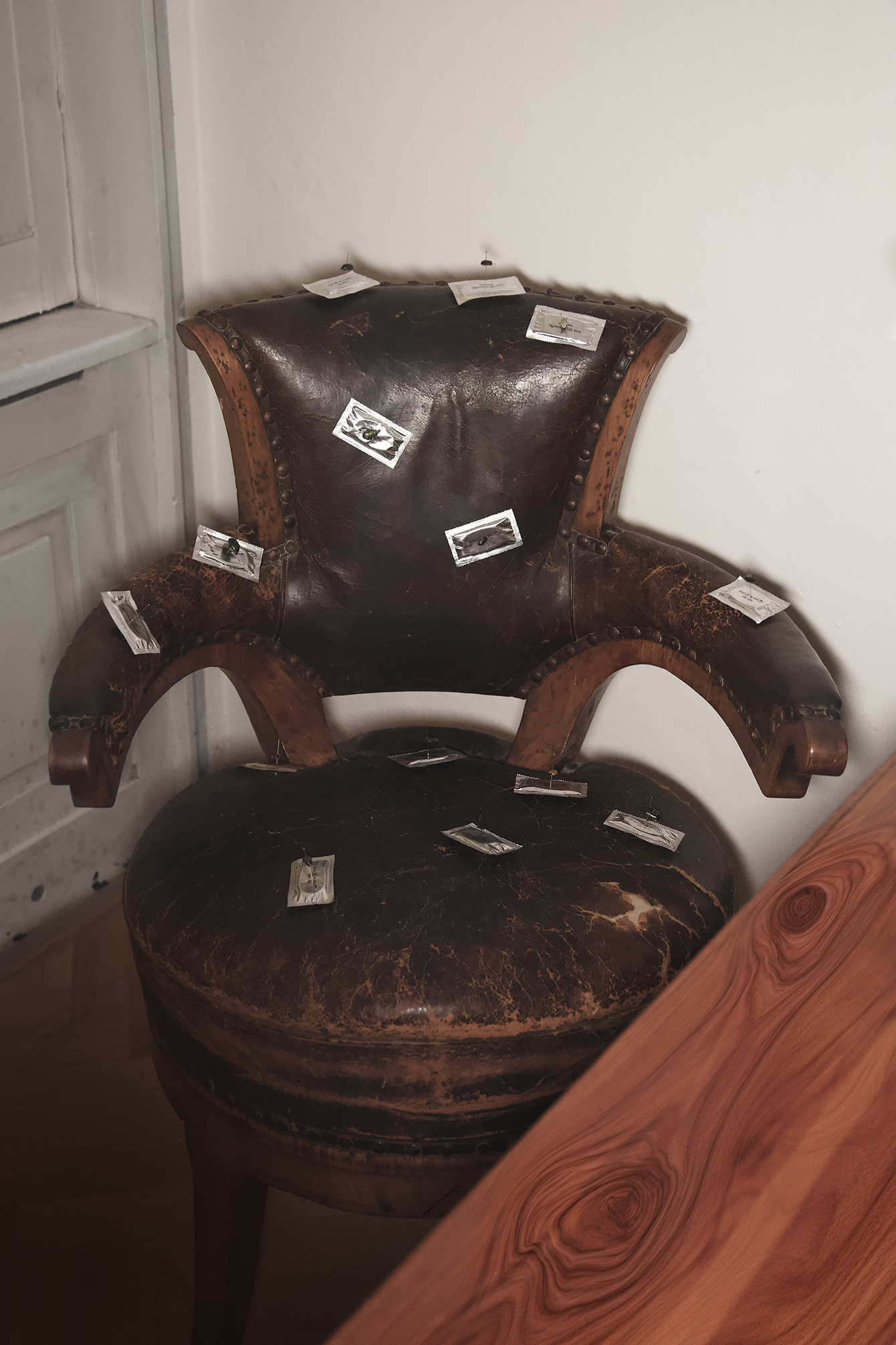 Paul Barsch, Feelings, condom packs, needles, various insects, 2021