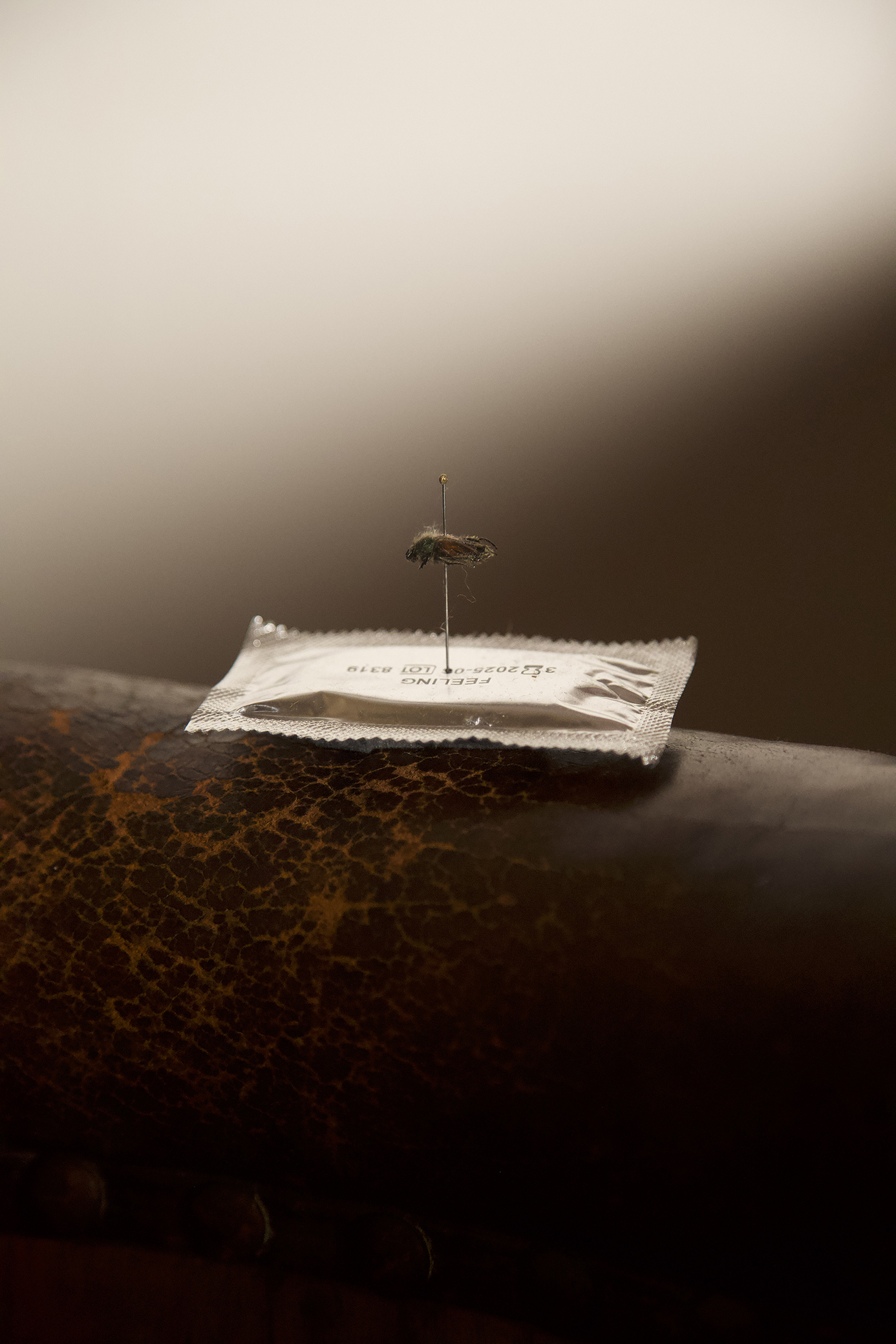 Paul Barsch, Feelings, condom packs, needles, various insects, 2021